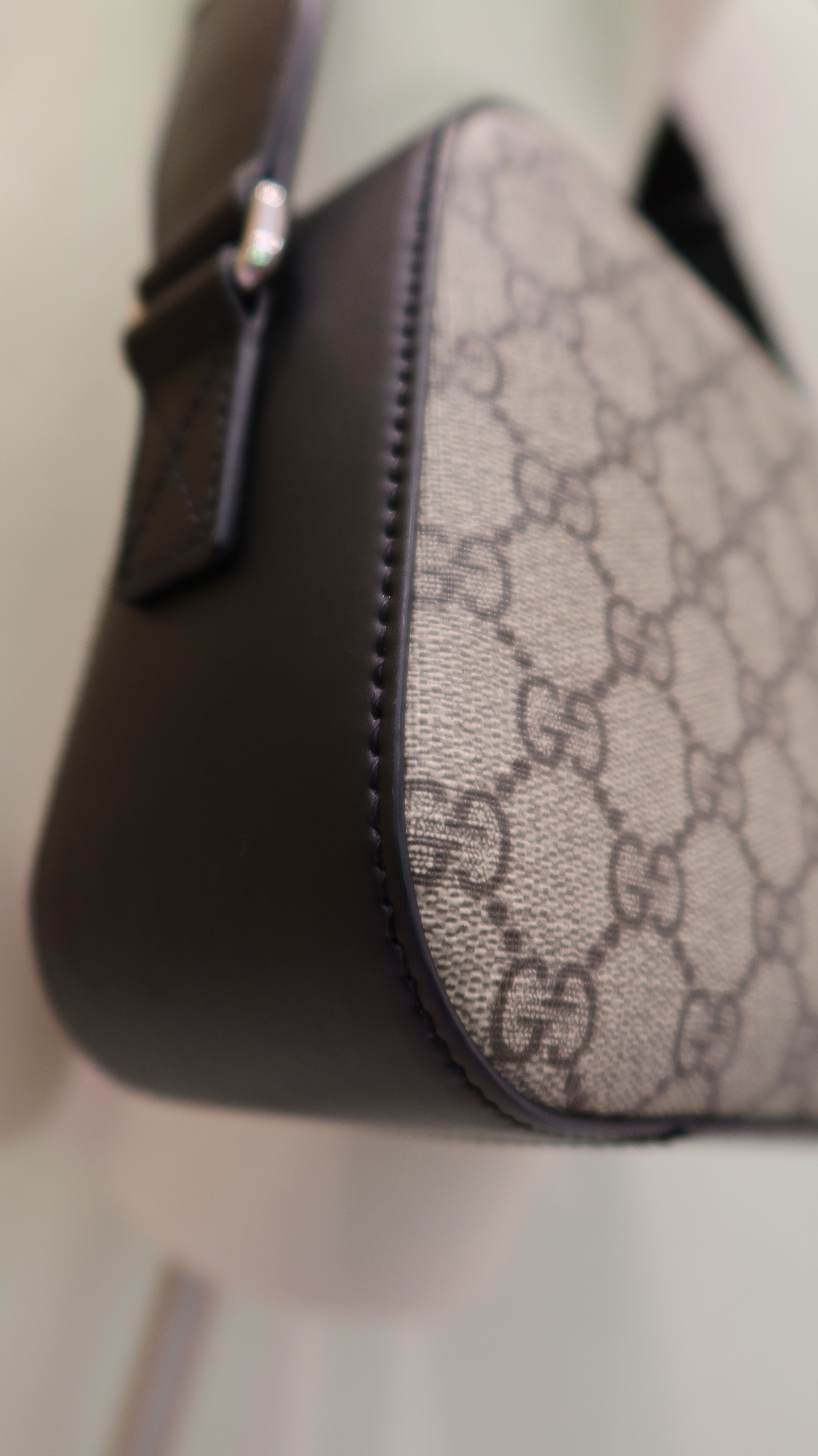 Gucci Supreme Camera Bag