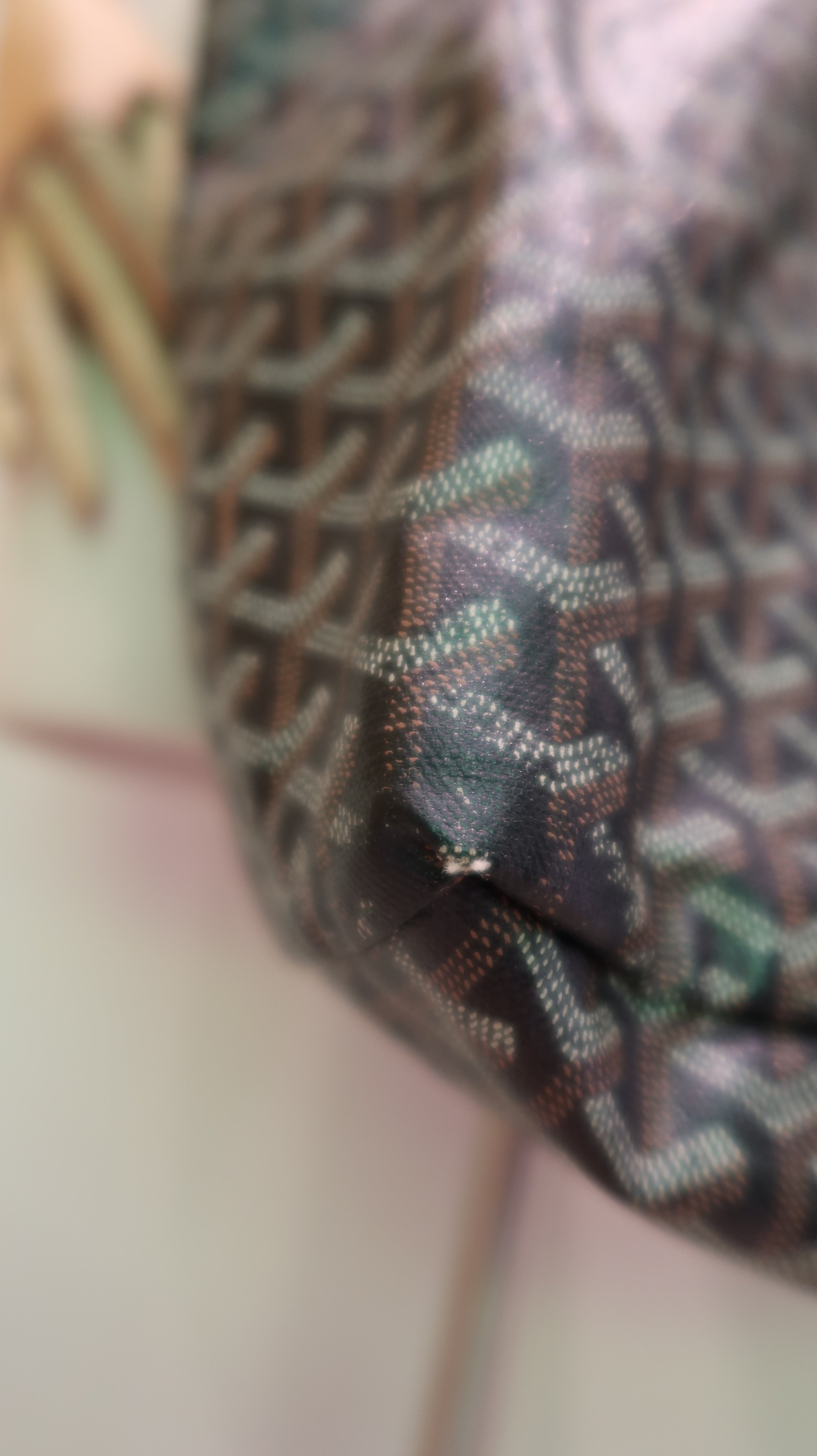 Goyard Saint Louis GM