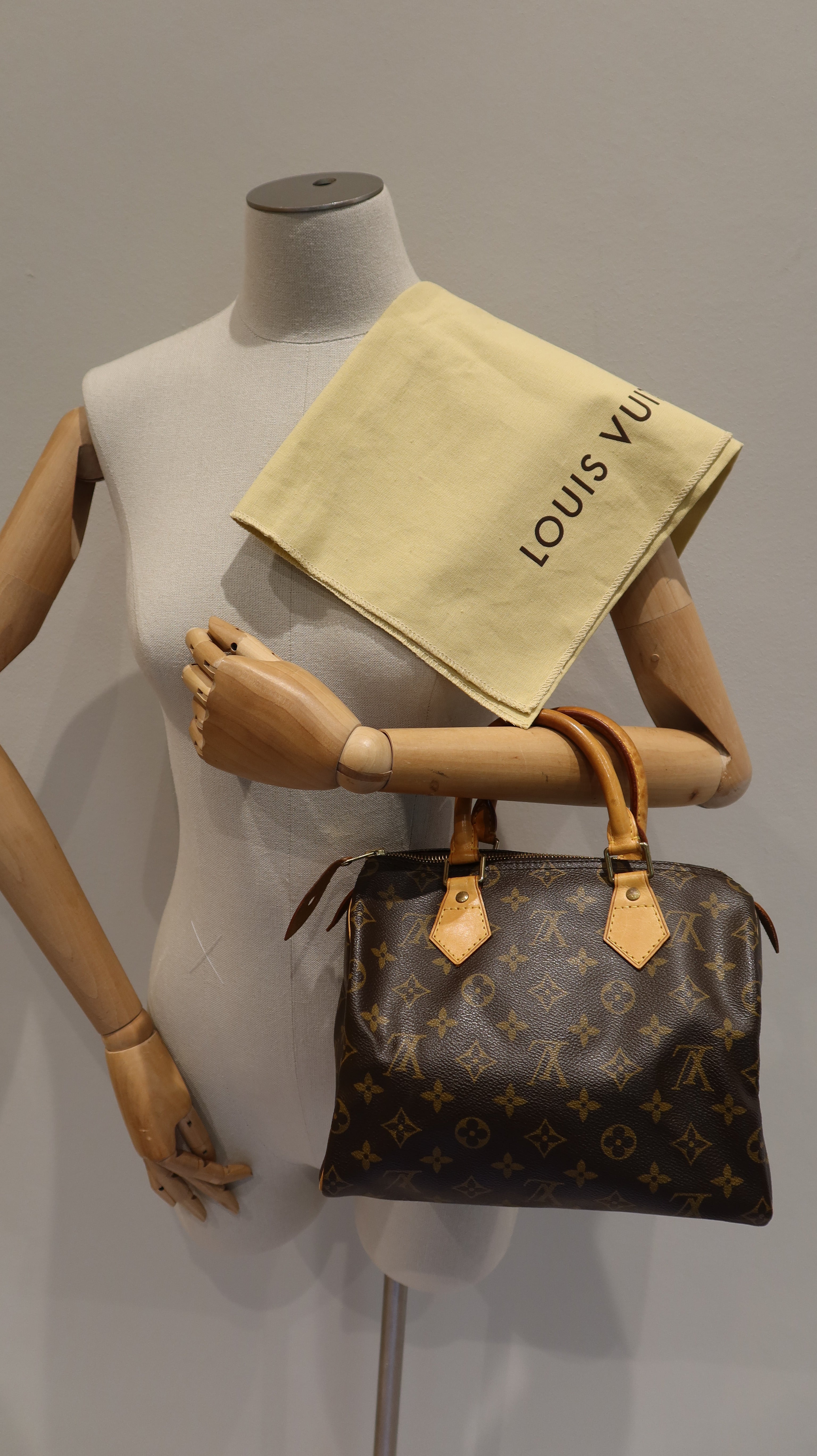 Louis Vuitton Speedy 25