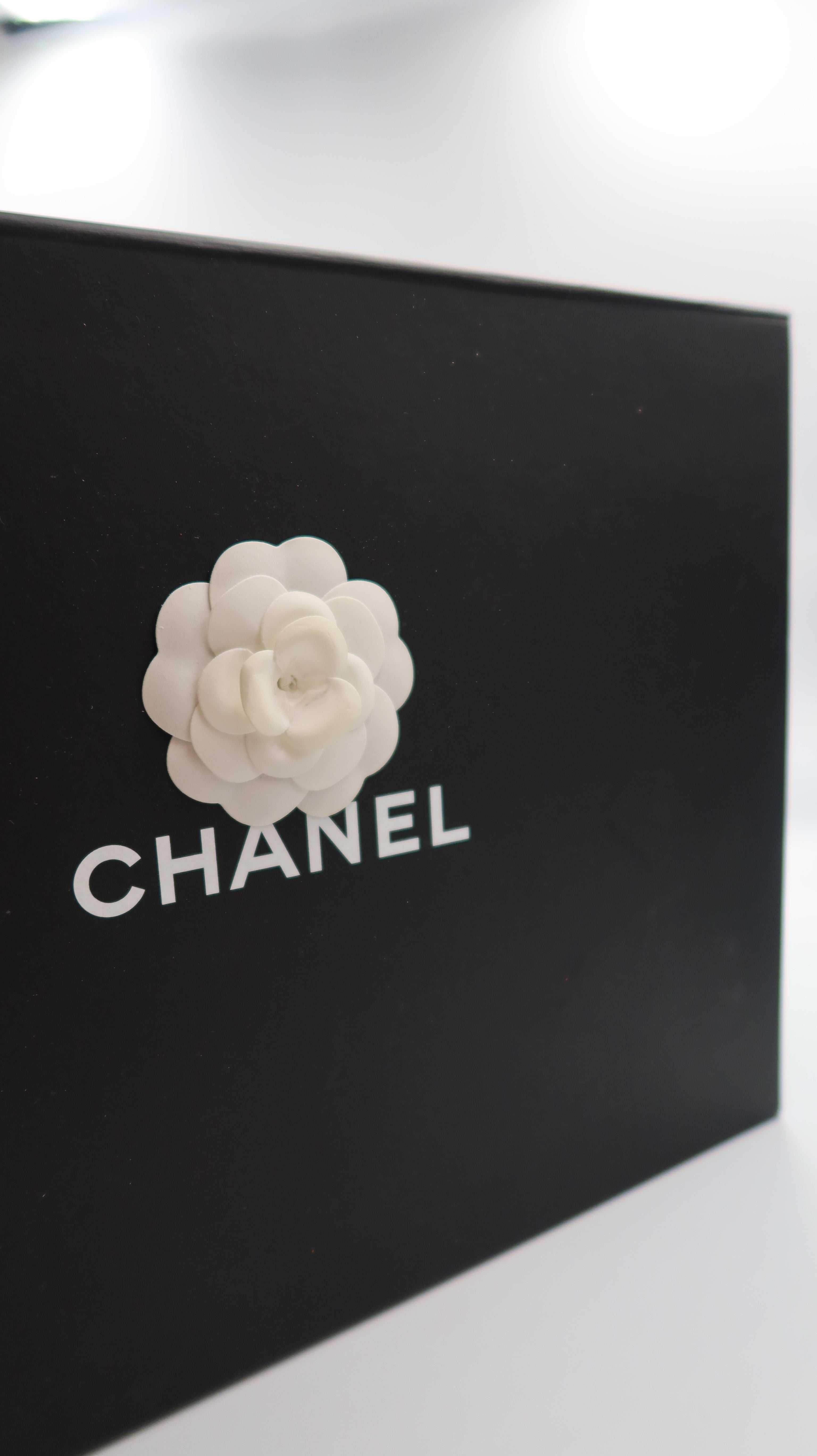 Chanel Maxi Flap Bag