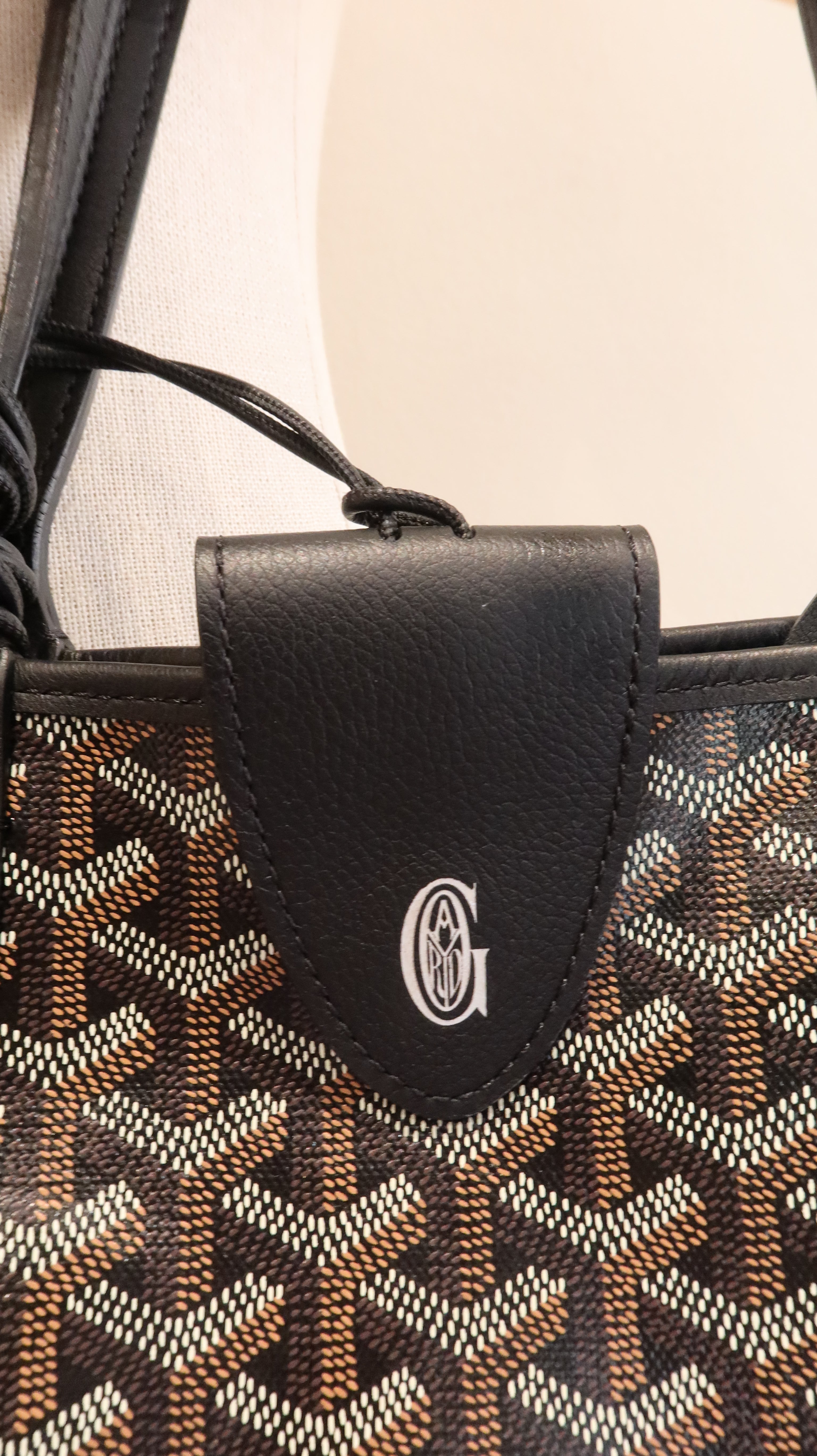 Goyard Anjou Mini Bag