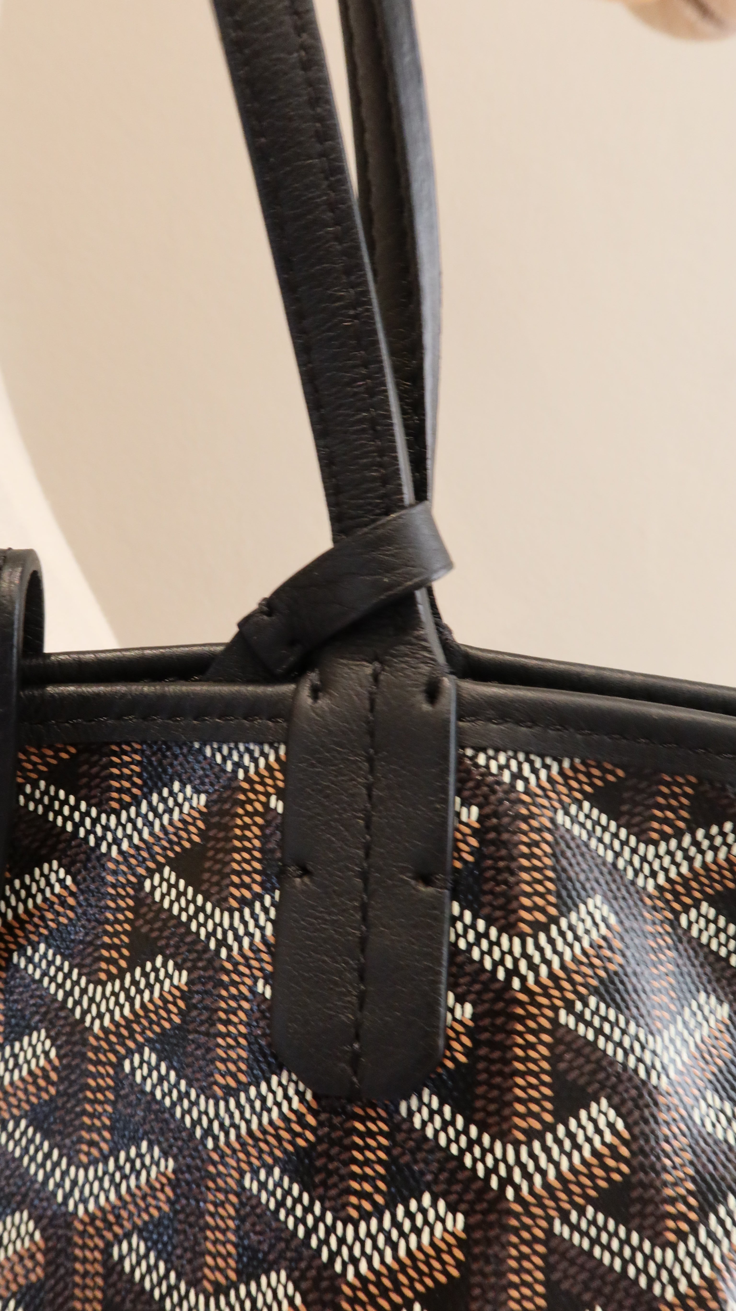 Goyard Anjou Mini Bag