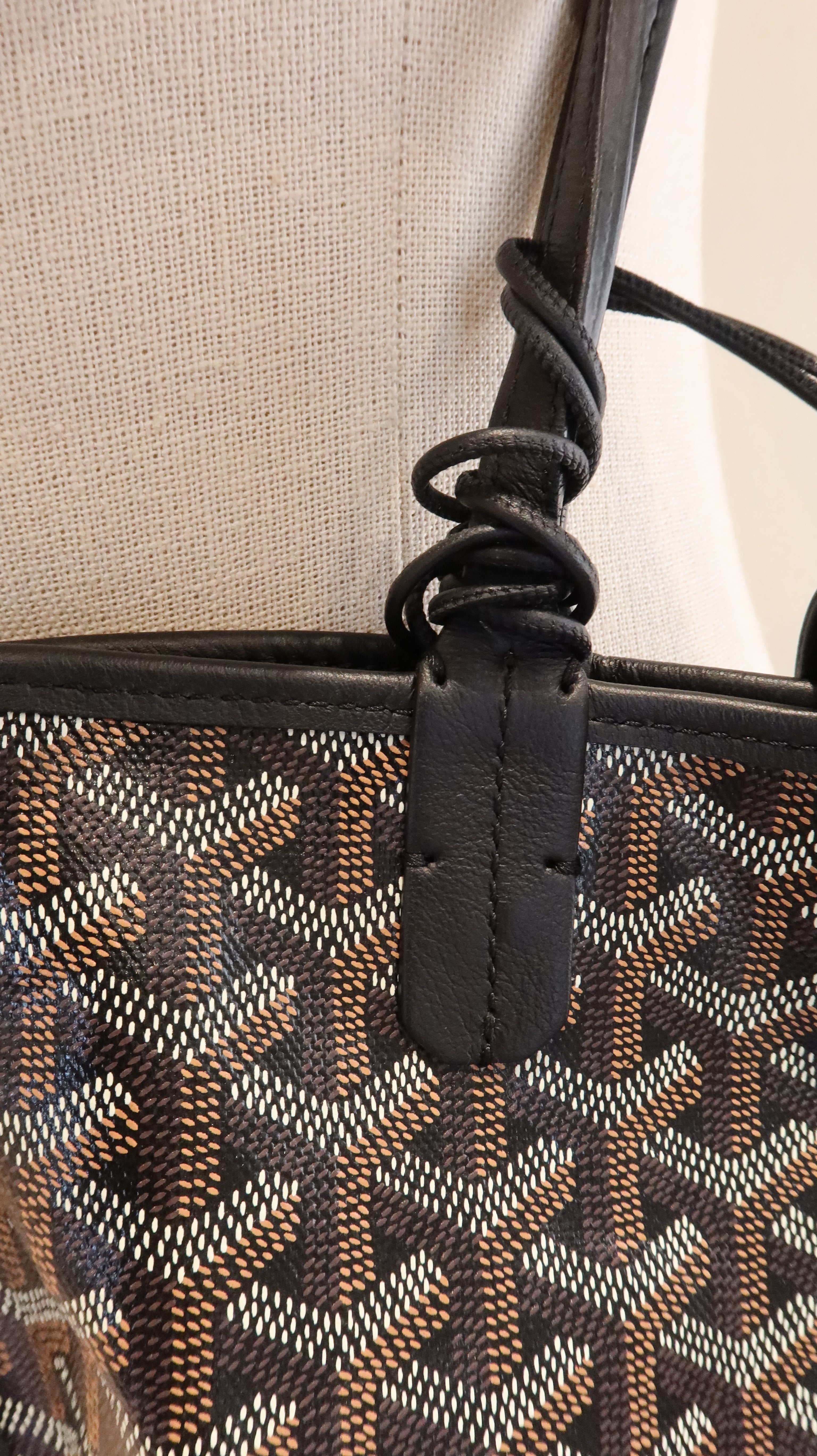 Goyard Anjou Mini Bag