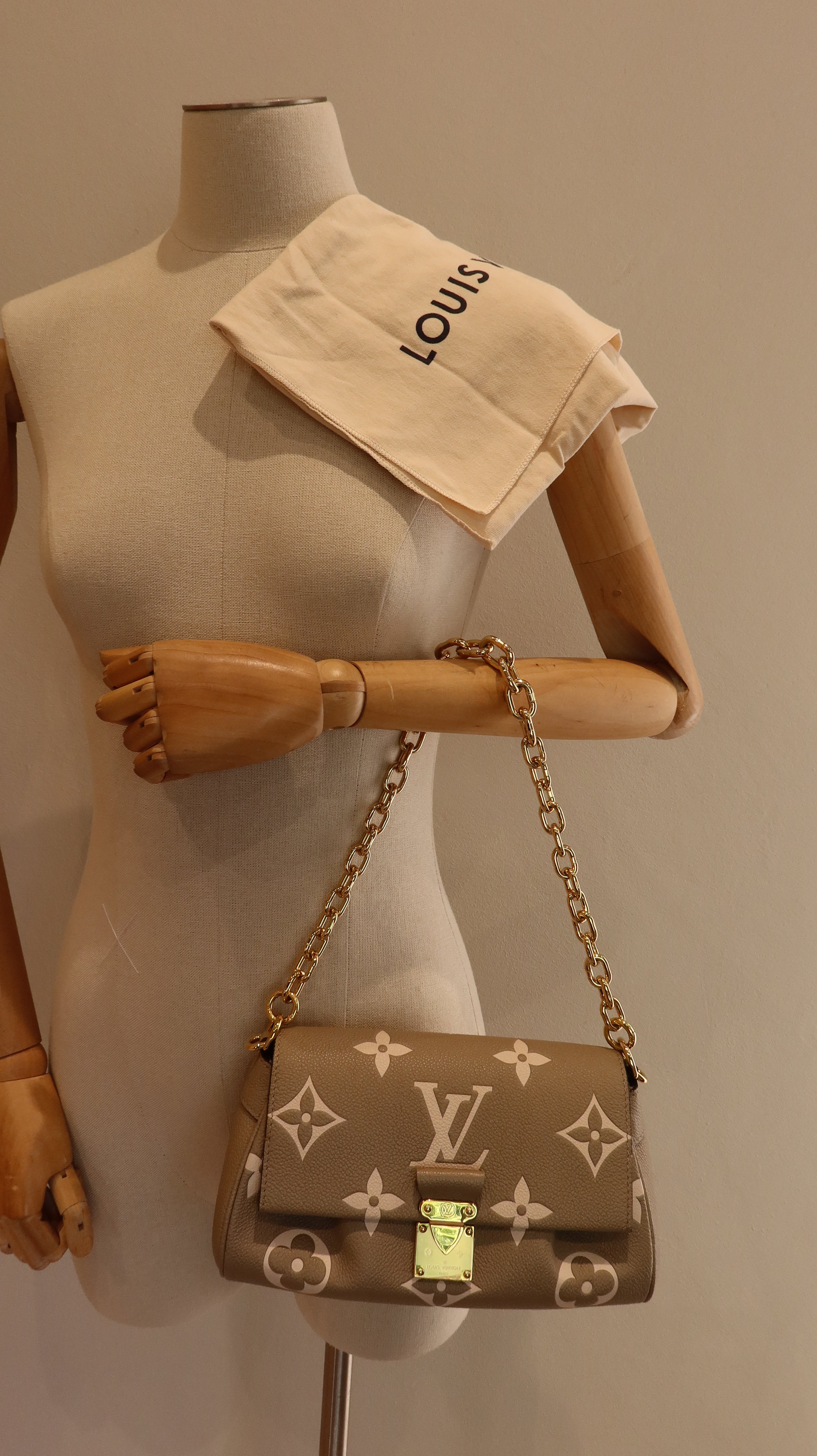 Louis Vuitton Favourite Bag