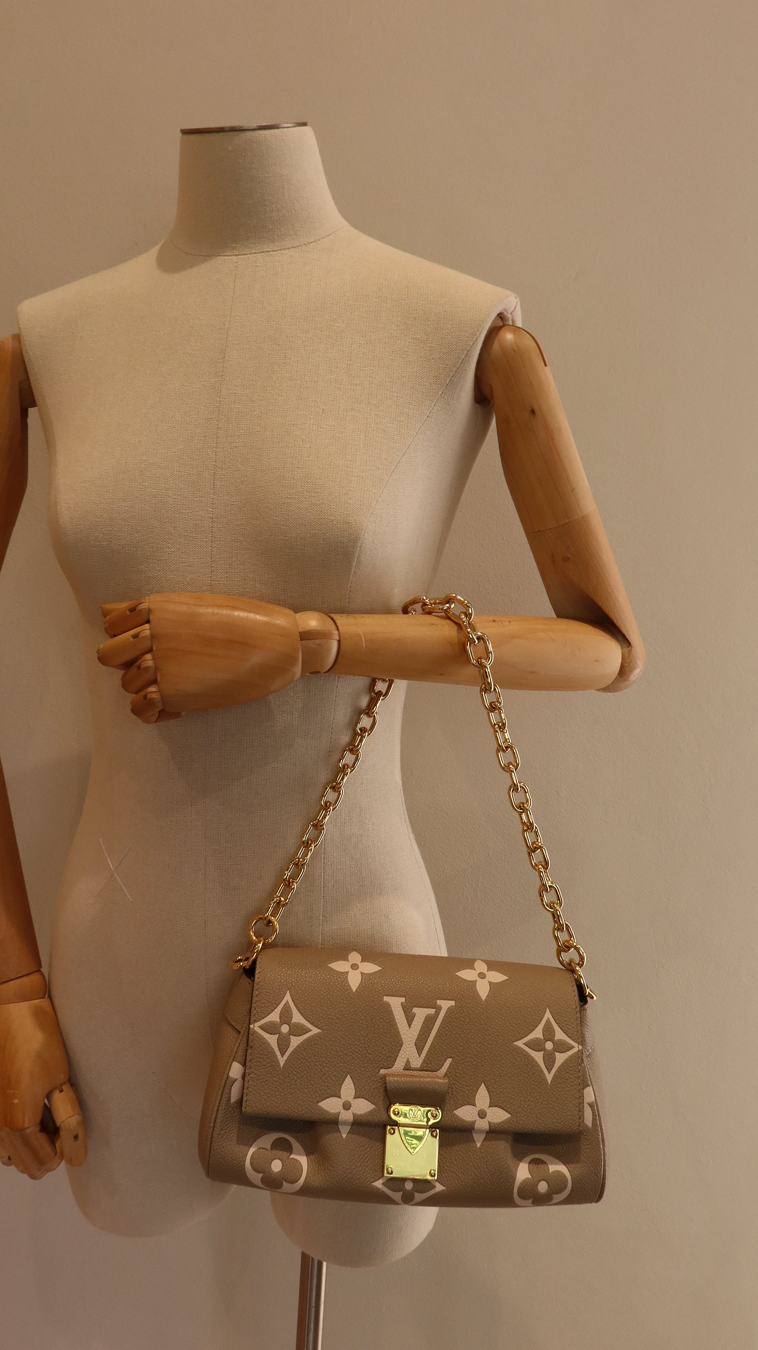 Louis Vuitton Favourite Bag