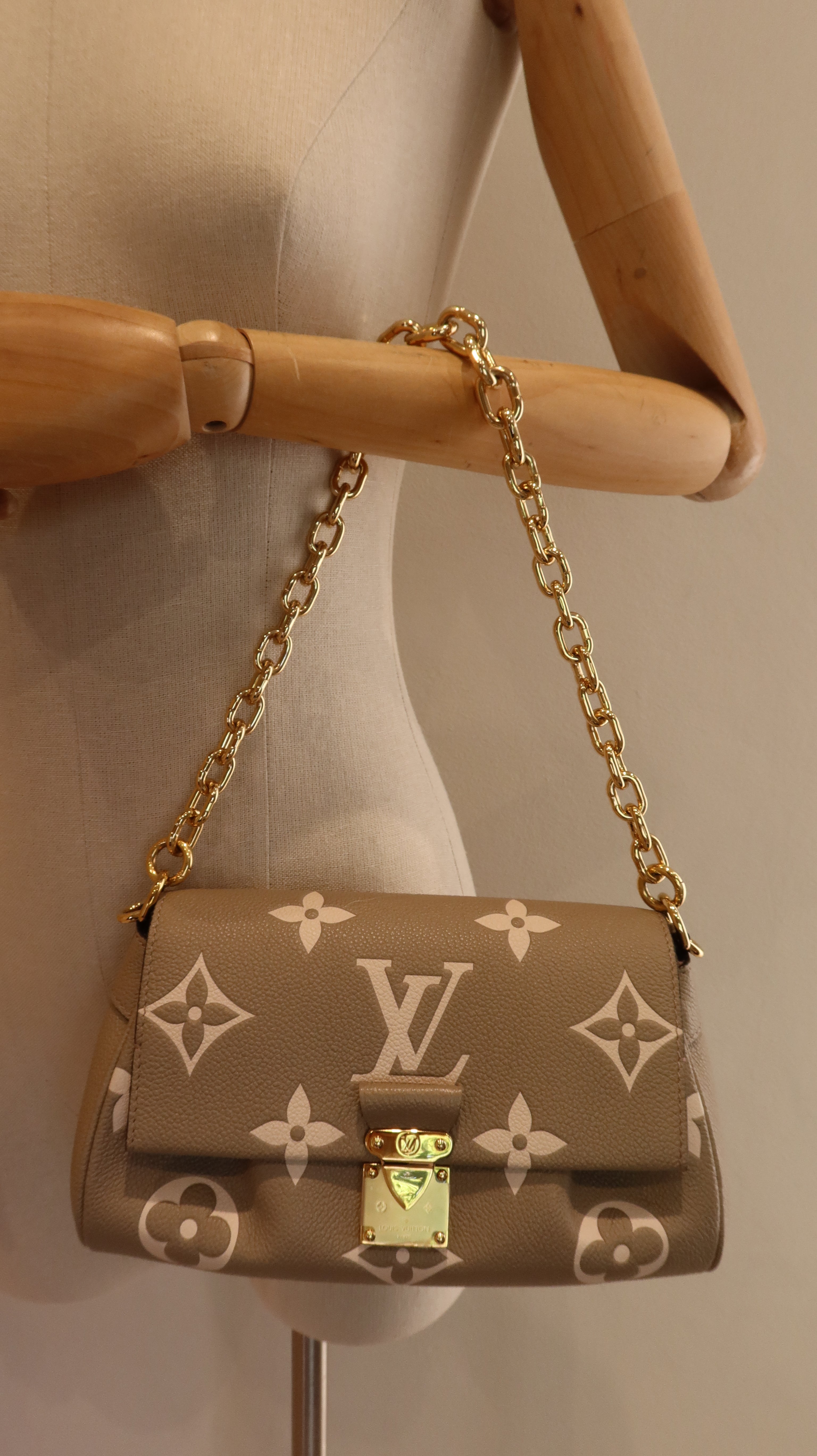 Louis Vuitton Favourite Bag