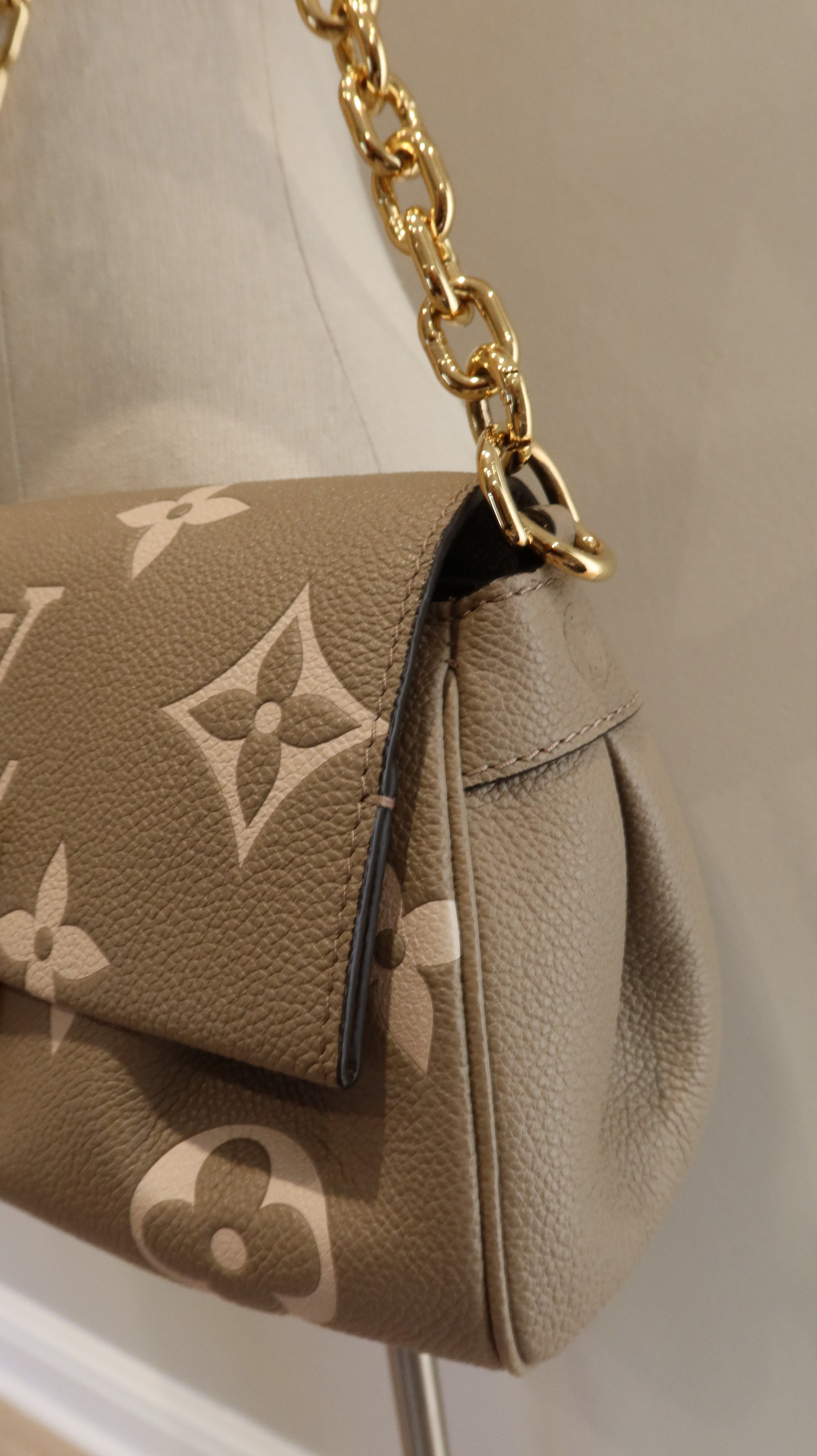 Louis Vuitton Favourite Bag