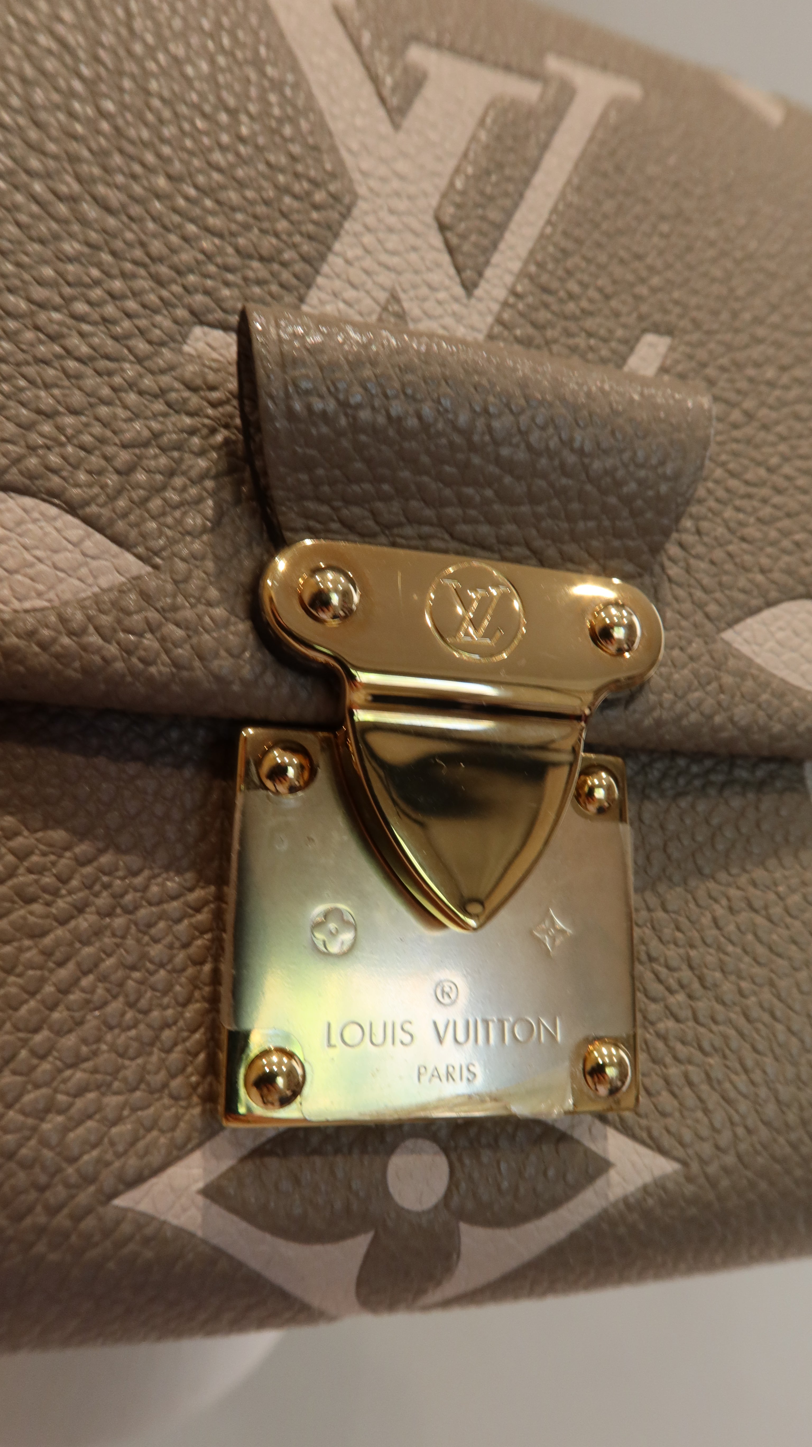 Louis Vuitton Favourite Bag