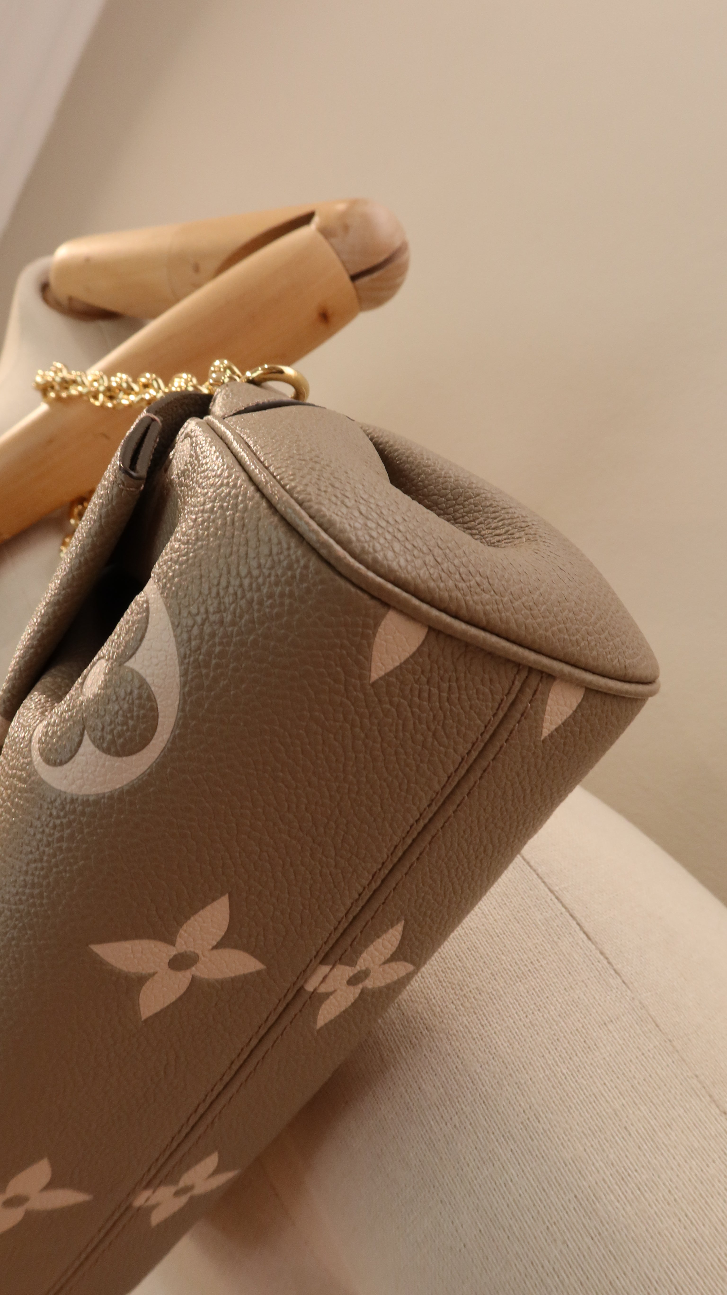 Louis Vuitton Favourite Bag