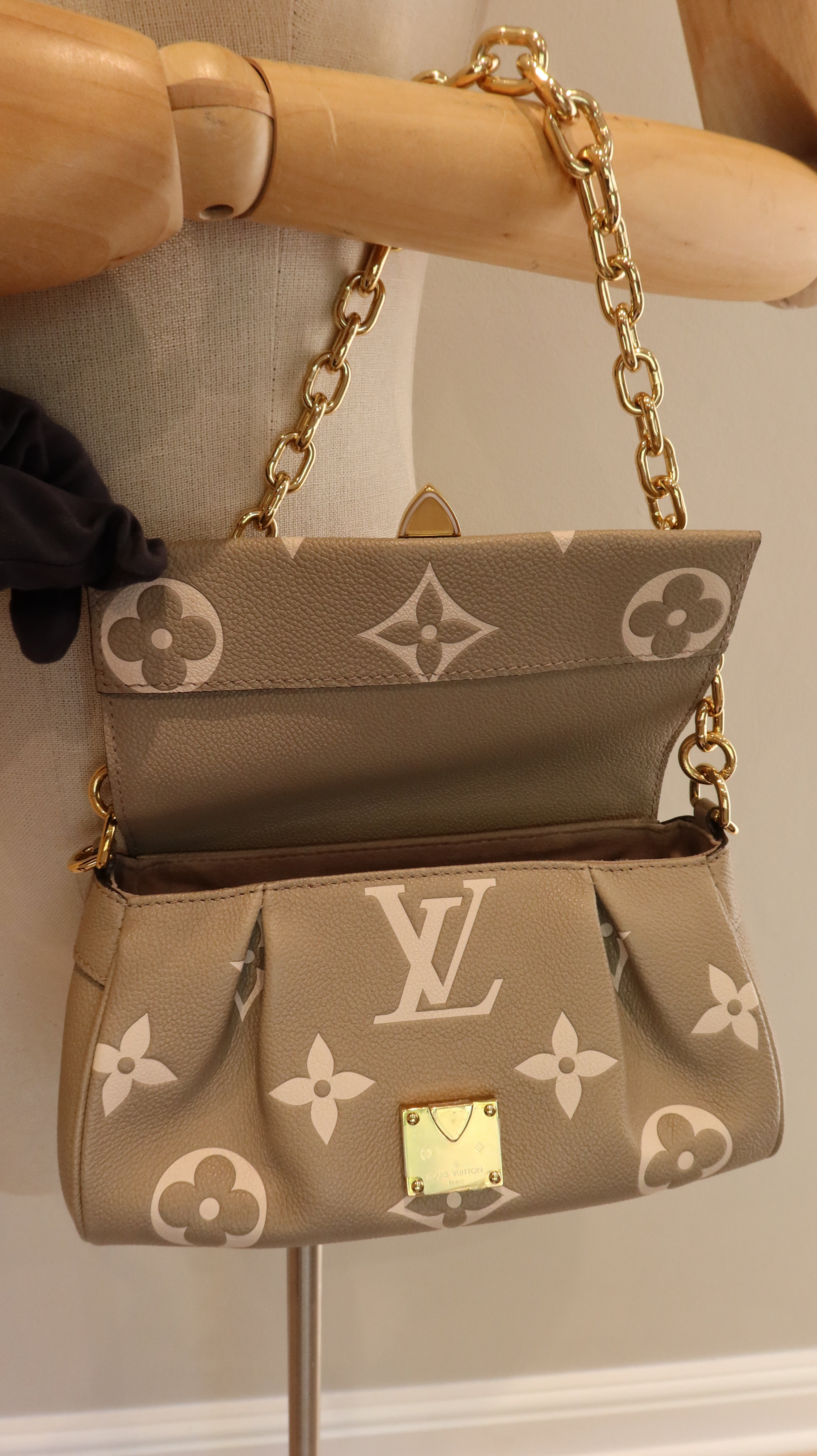 Louis Vuitton Favourite Bag