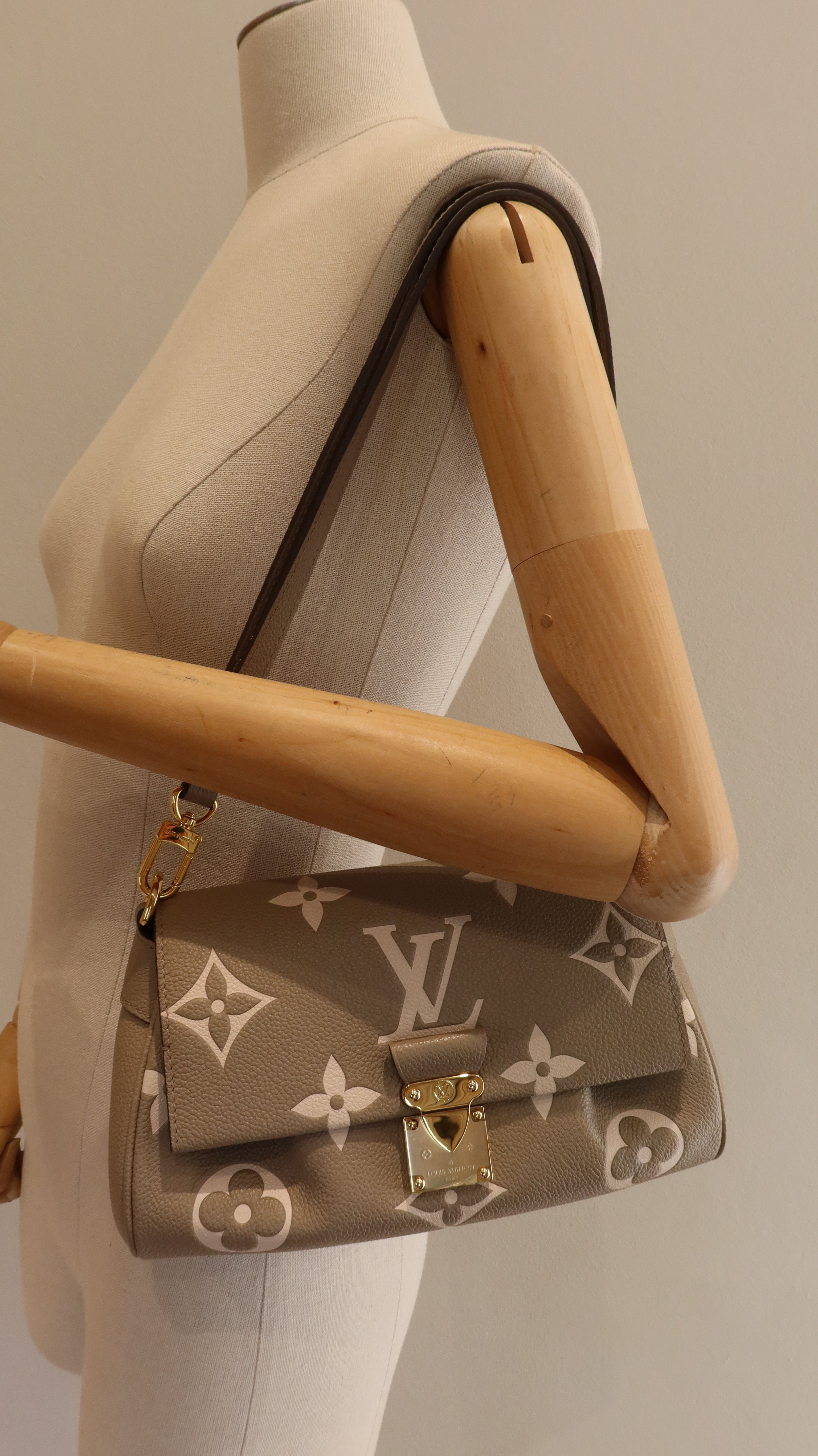 Louis Vuitton Favourite Bag