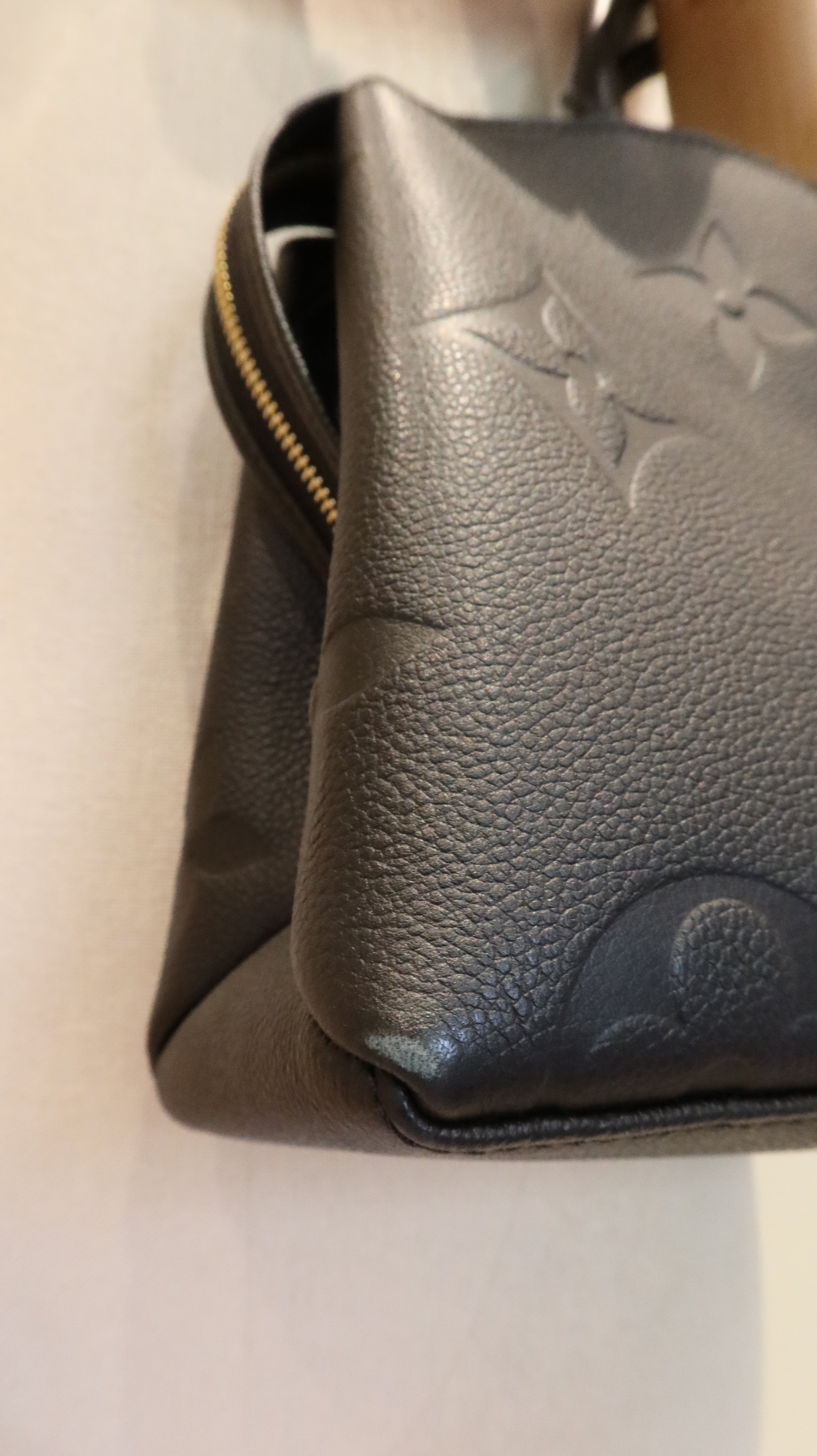Louis Vuitton Petit Palais Bag