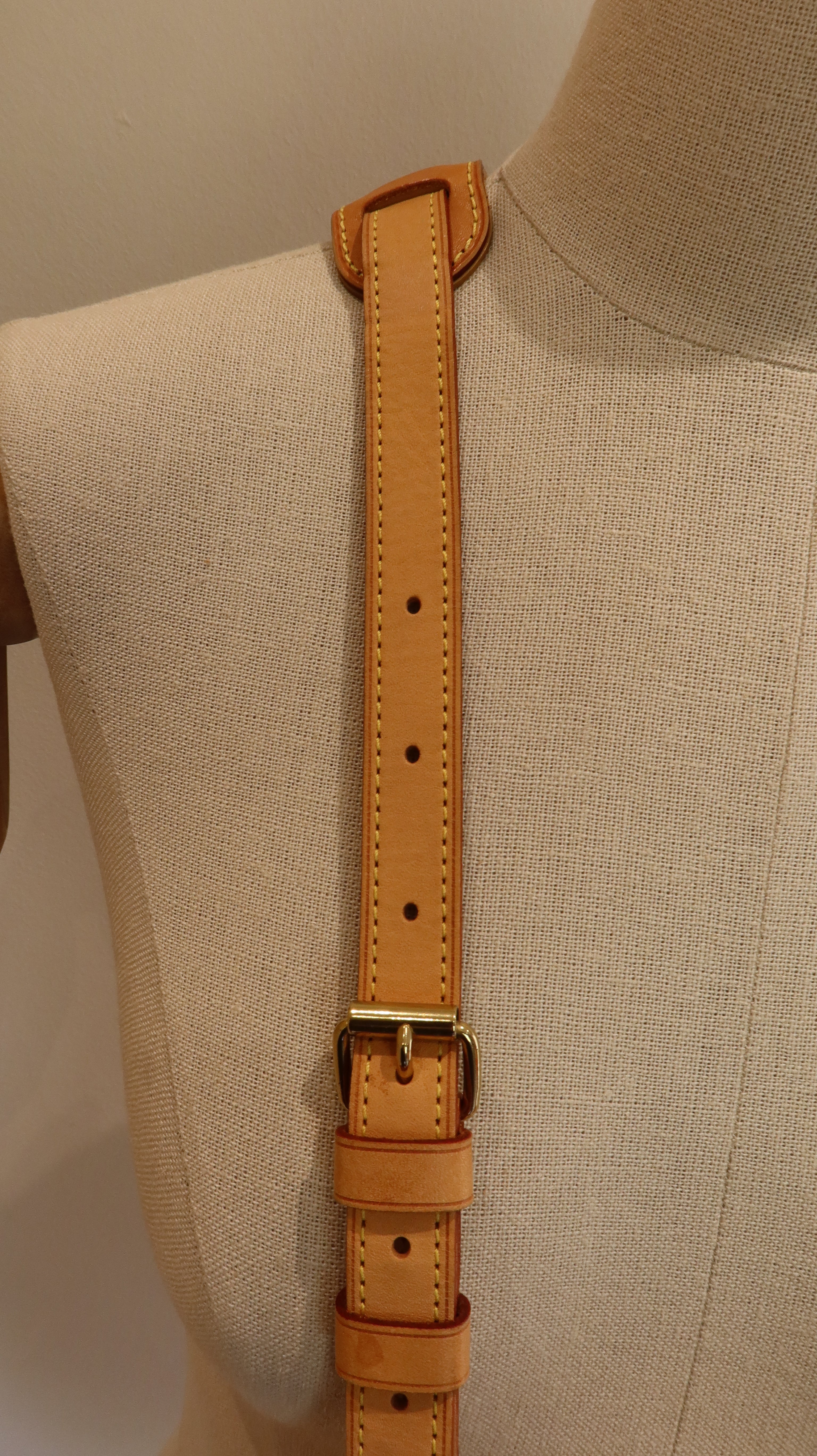 Louis Vuitton Saumur Bag