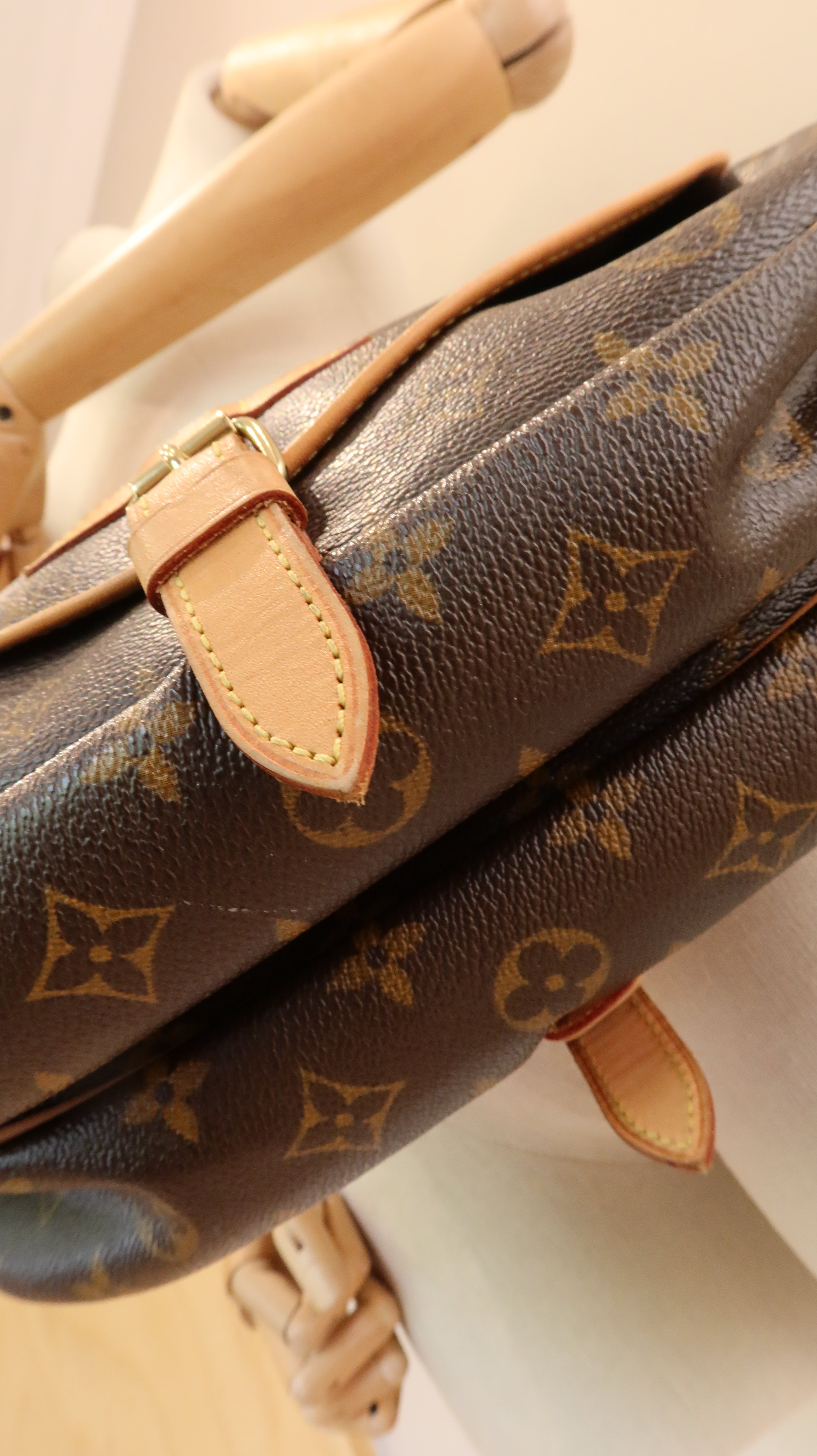 Louis Vuitton Saumur Bag