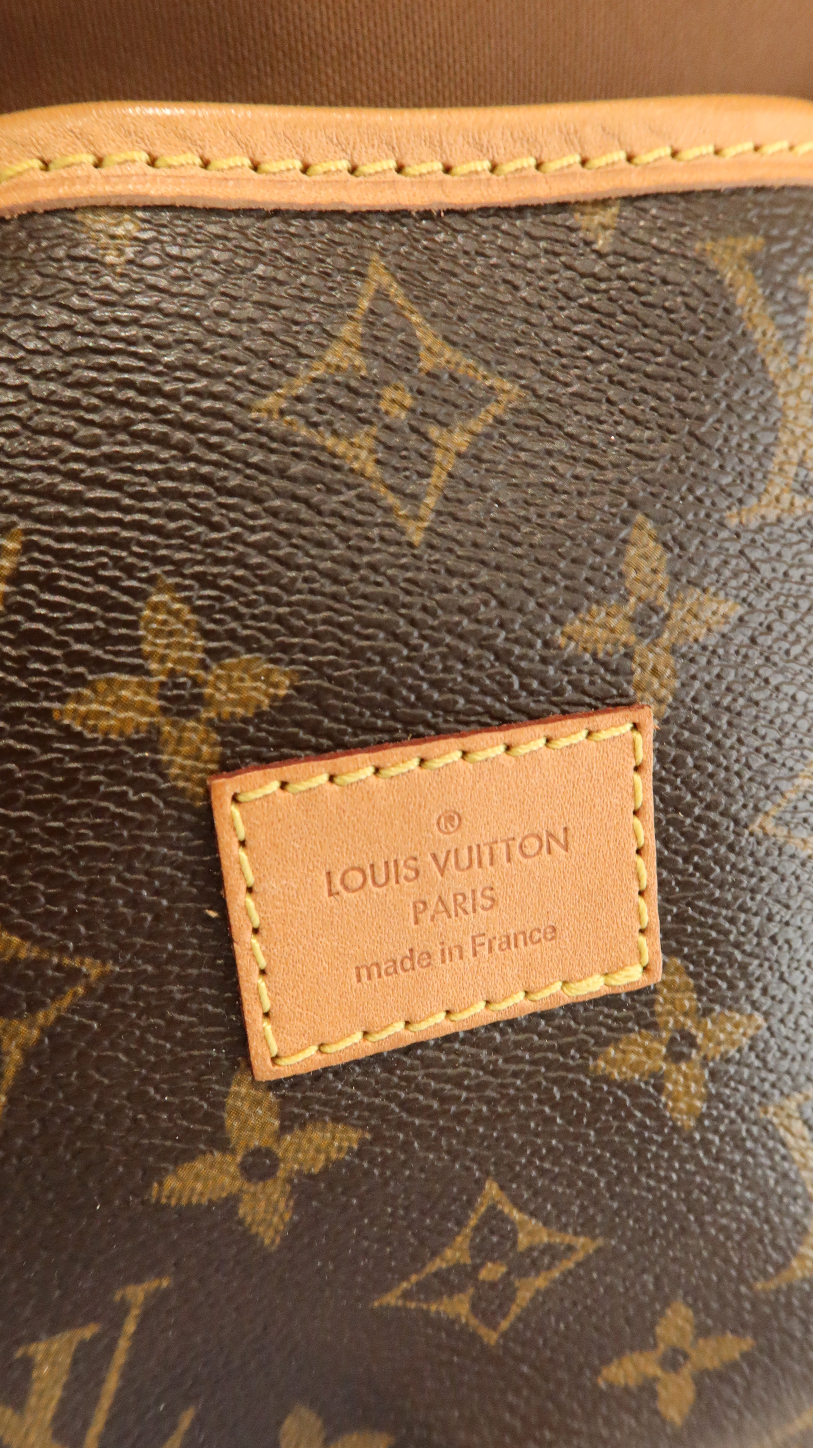 Louis Vuitton Saumur Bag