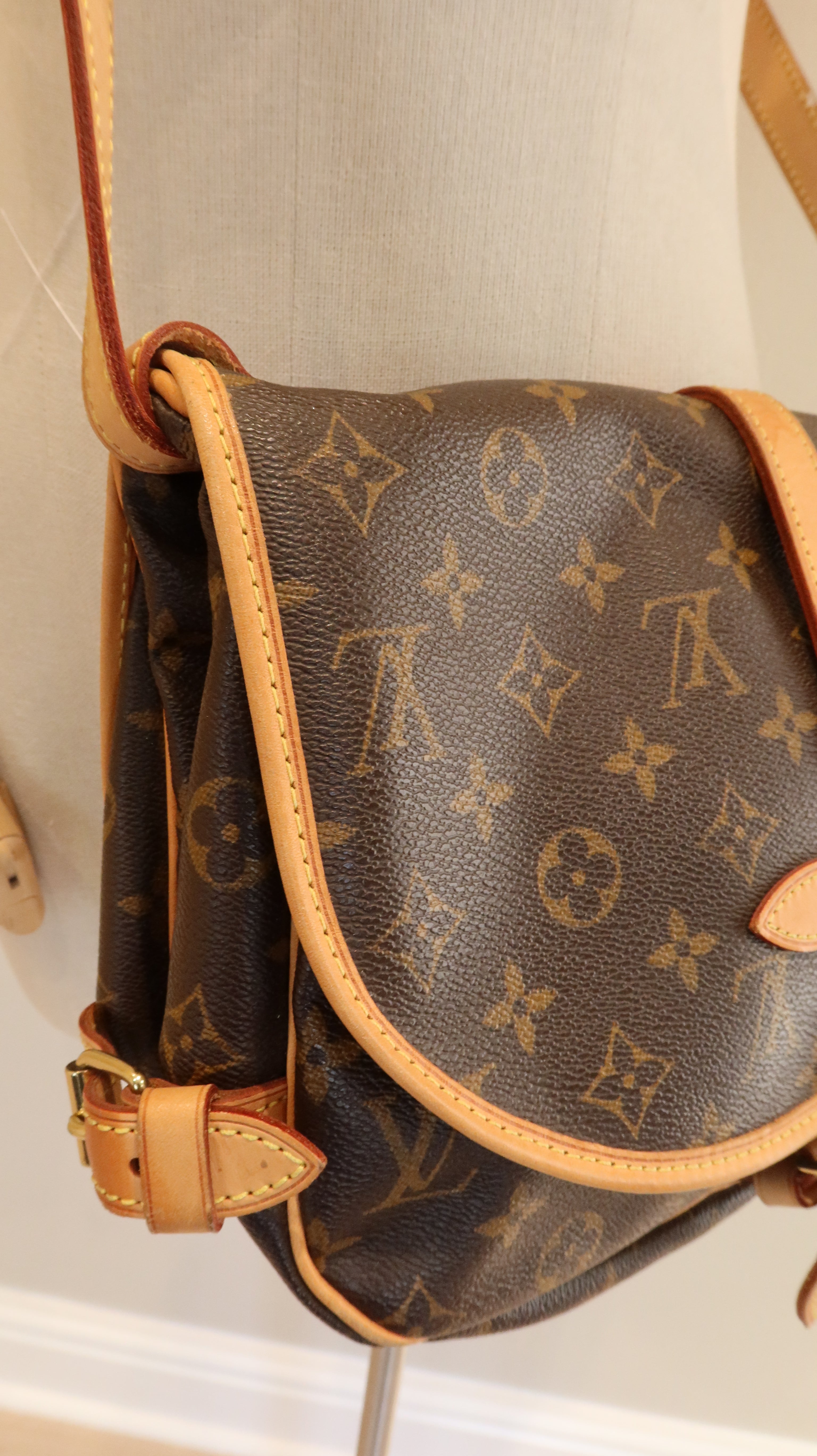 Louis Vuitton Saumur Bag