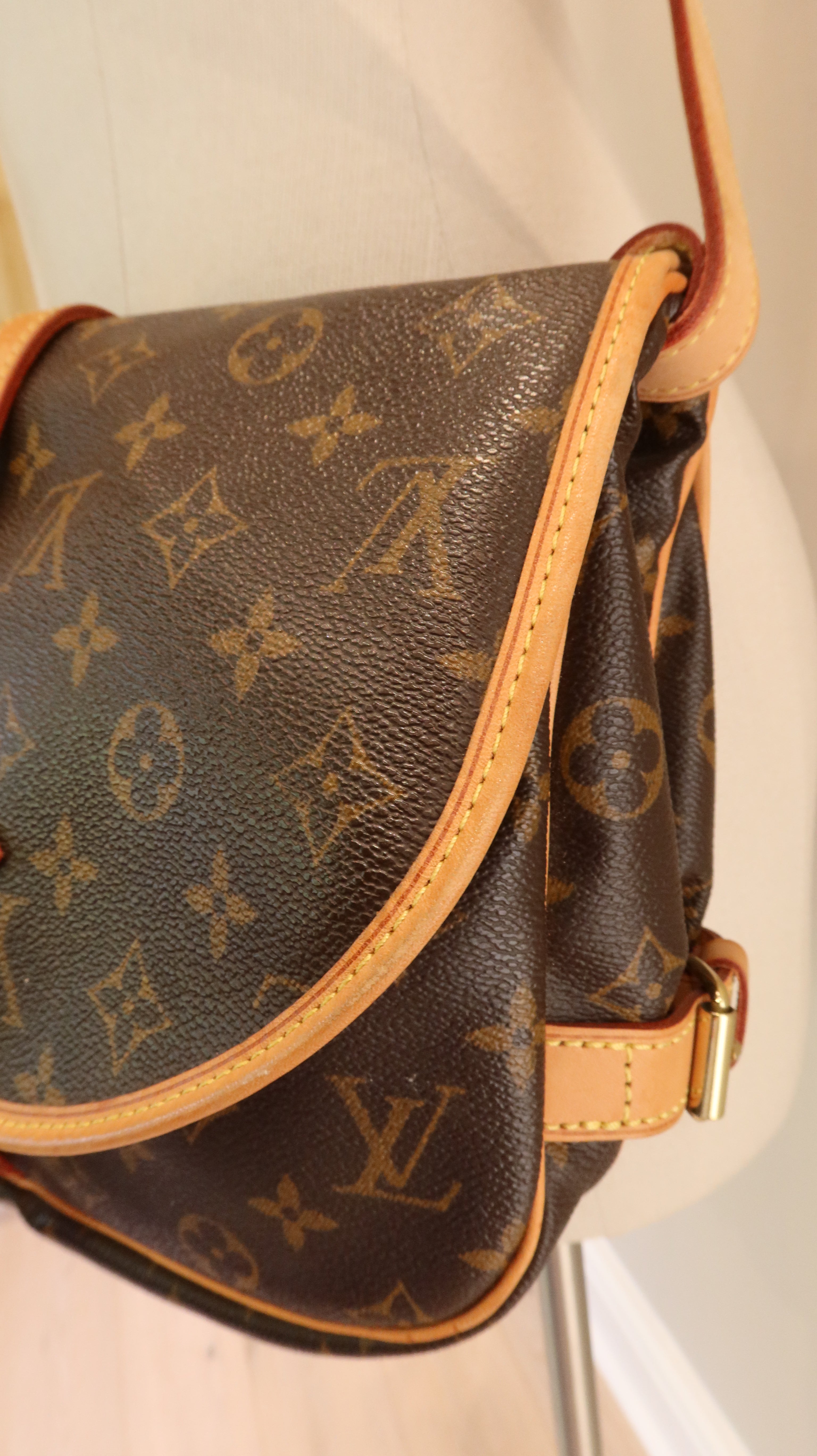 Louis Vuitton Saumur Bag