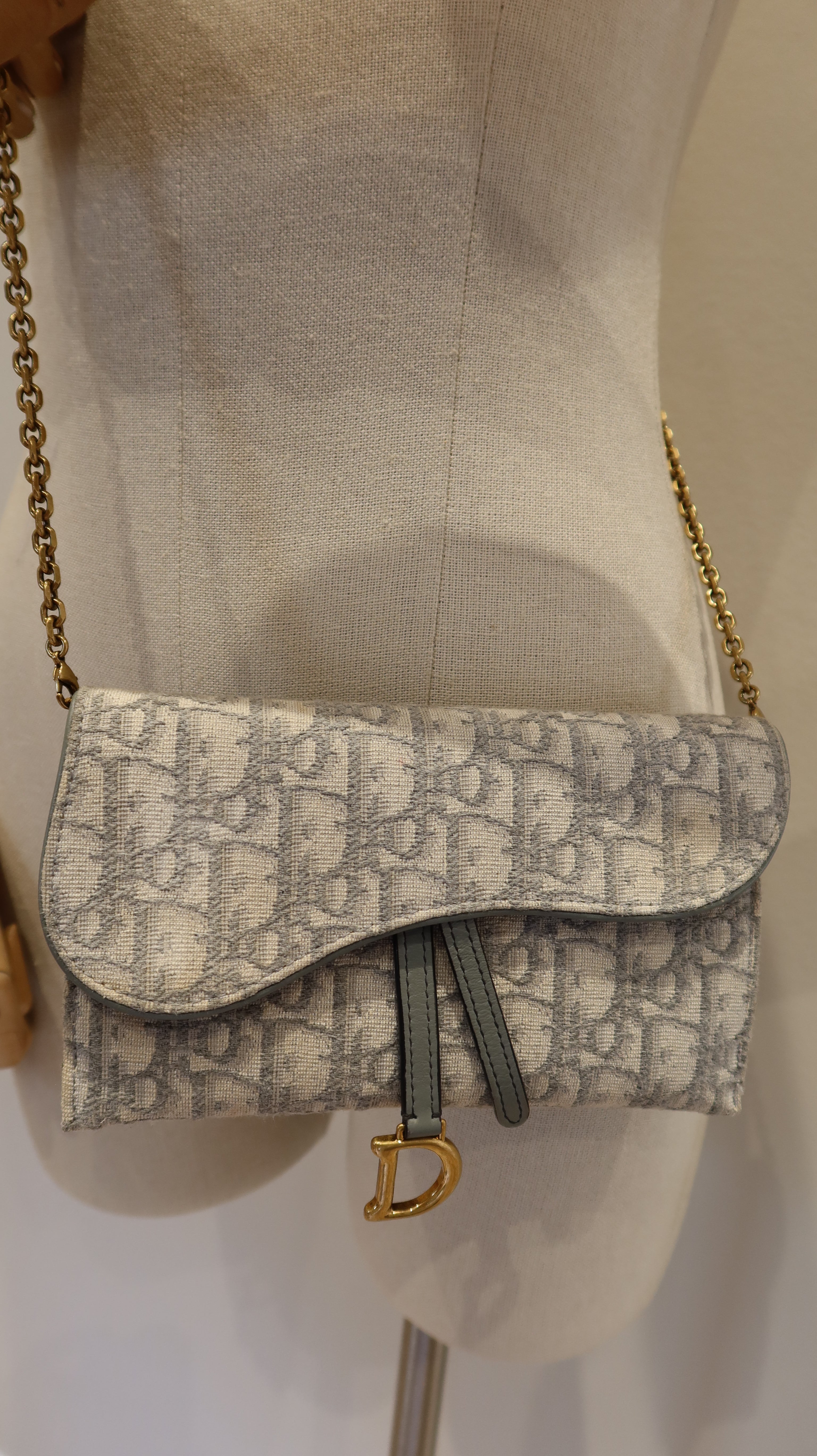 Christian Dior Saddle Wallet On Chain