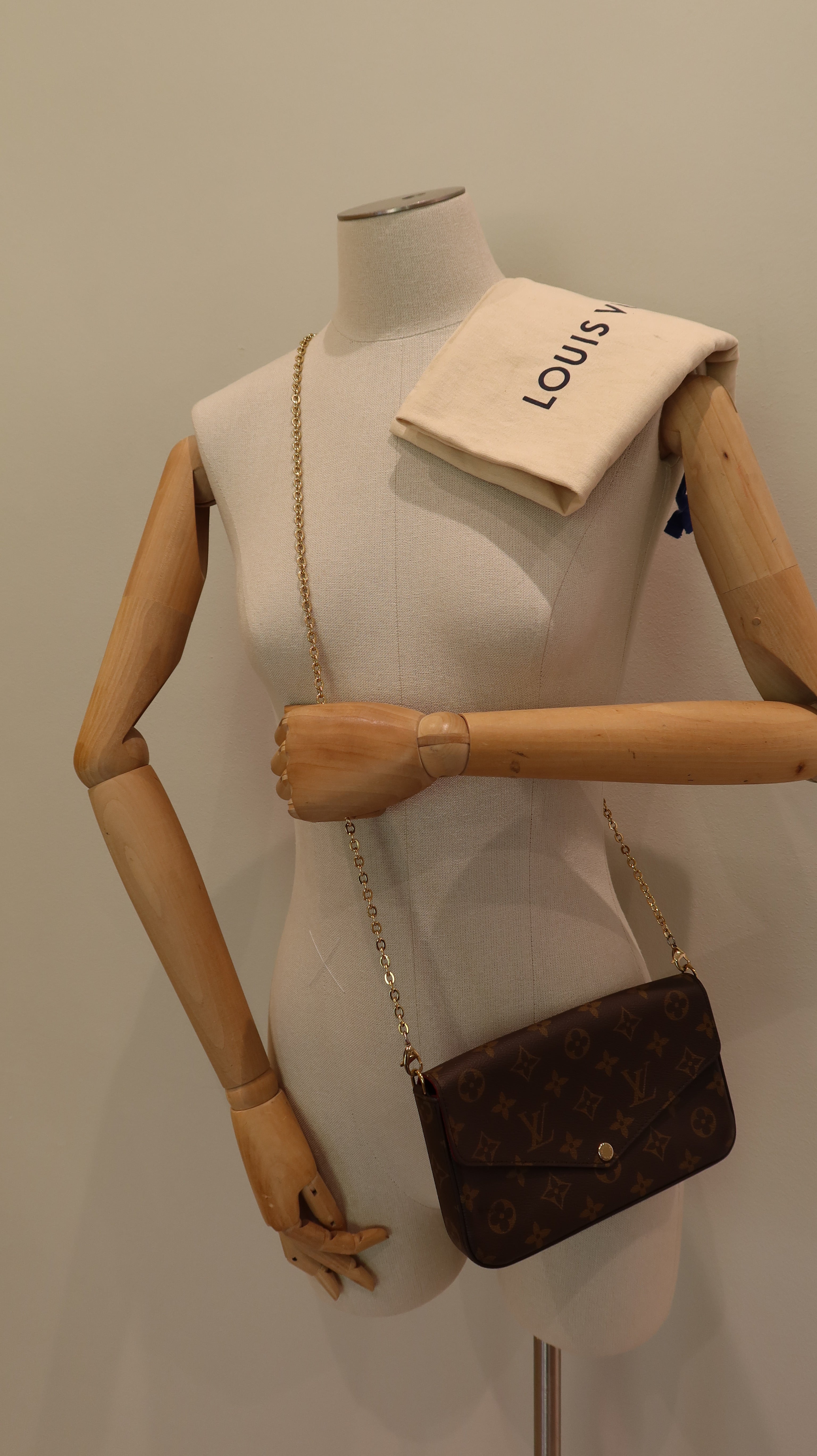 Louis Vuitton Felicie Pochette