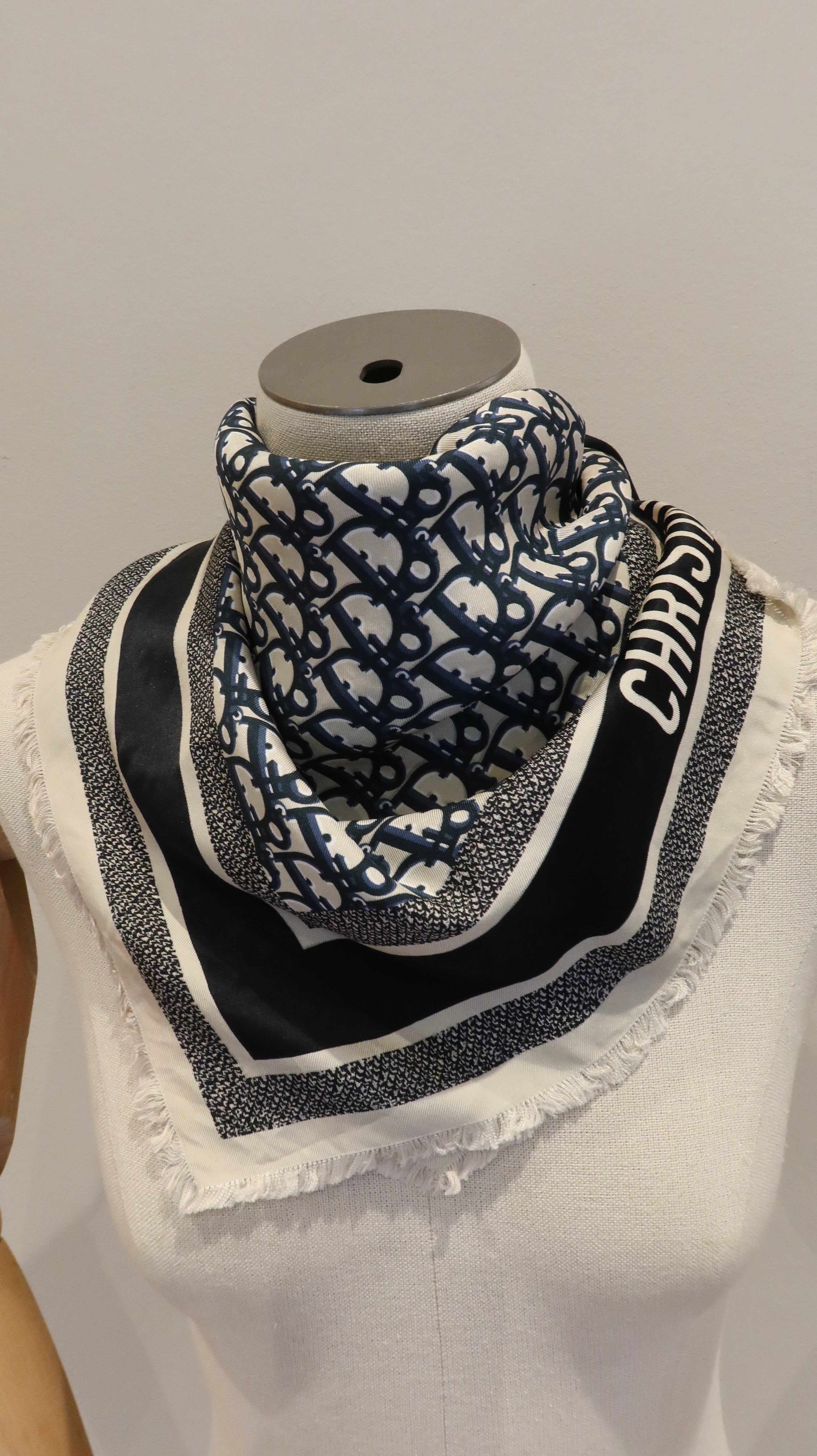 Dior Silk Scarf