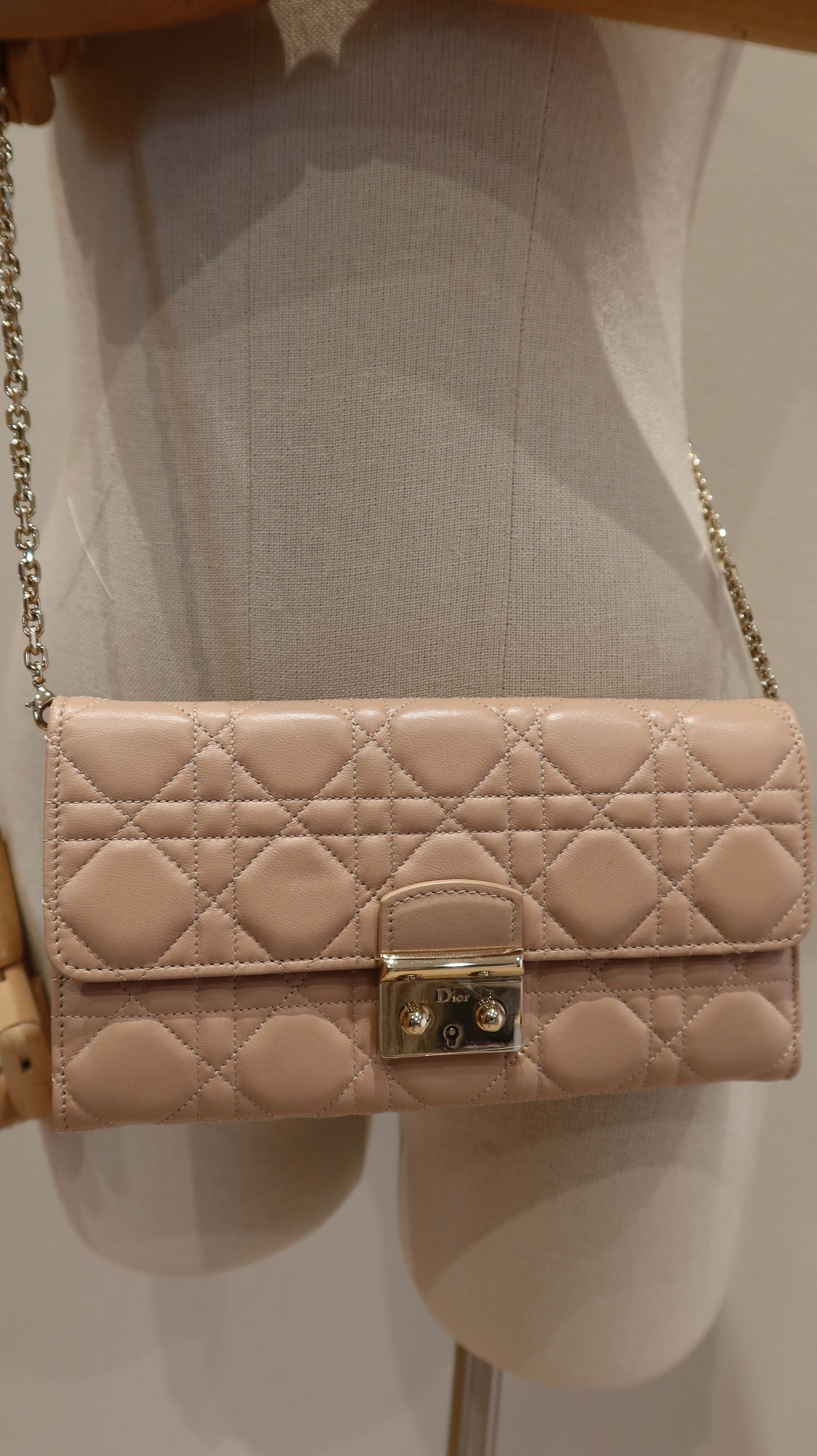 Christian Dior Wallet On Chain