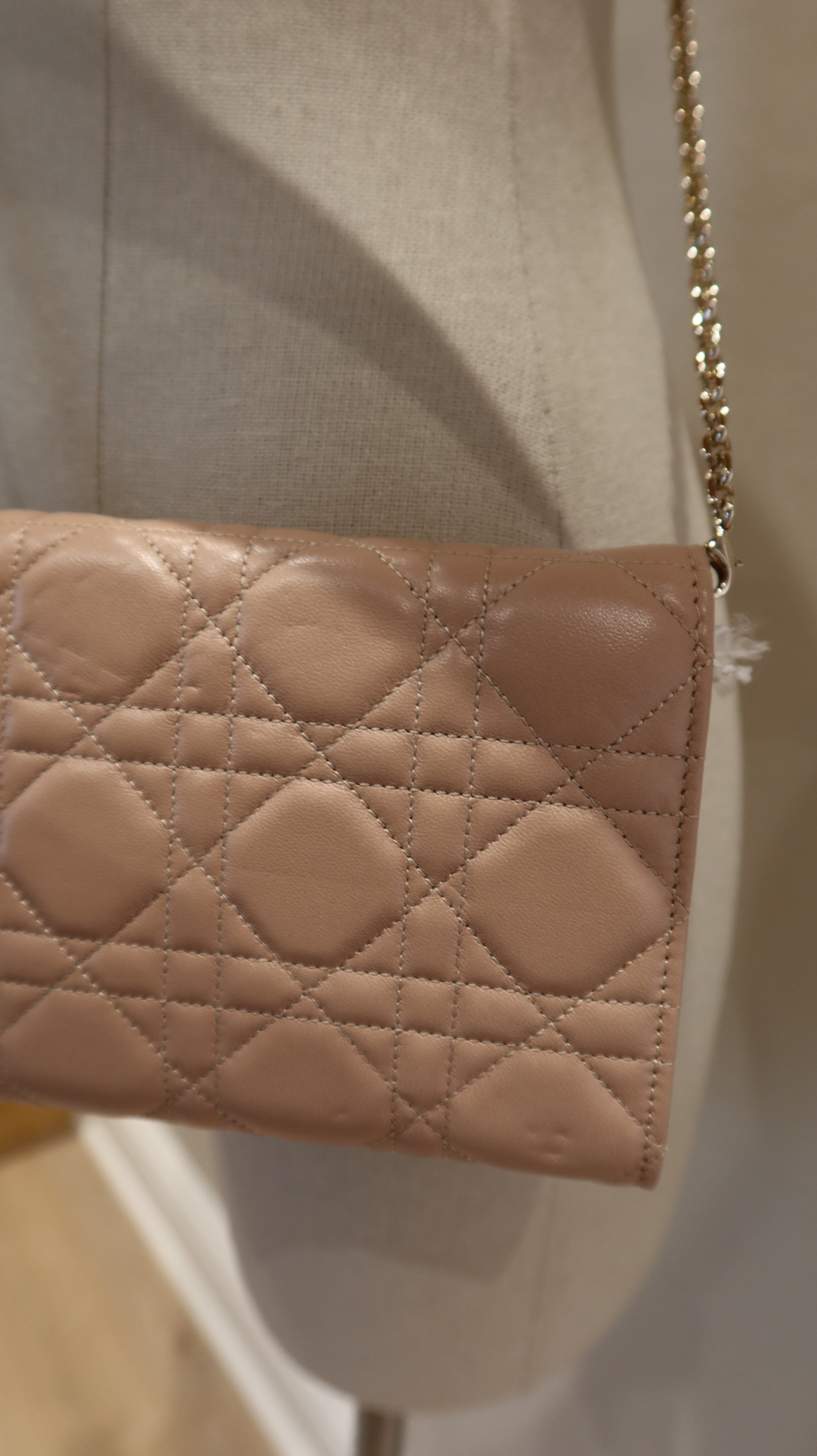 Christian Dior Wallet On Chain