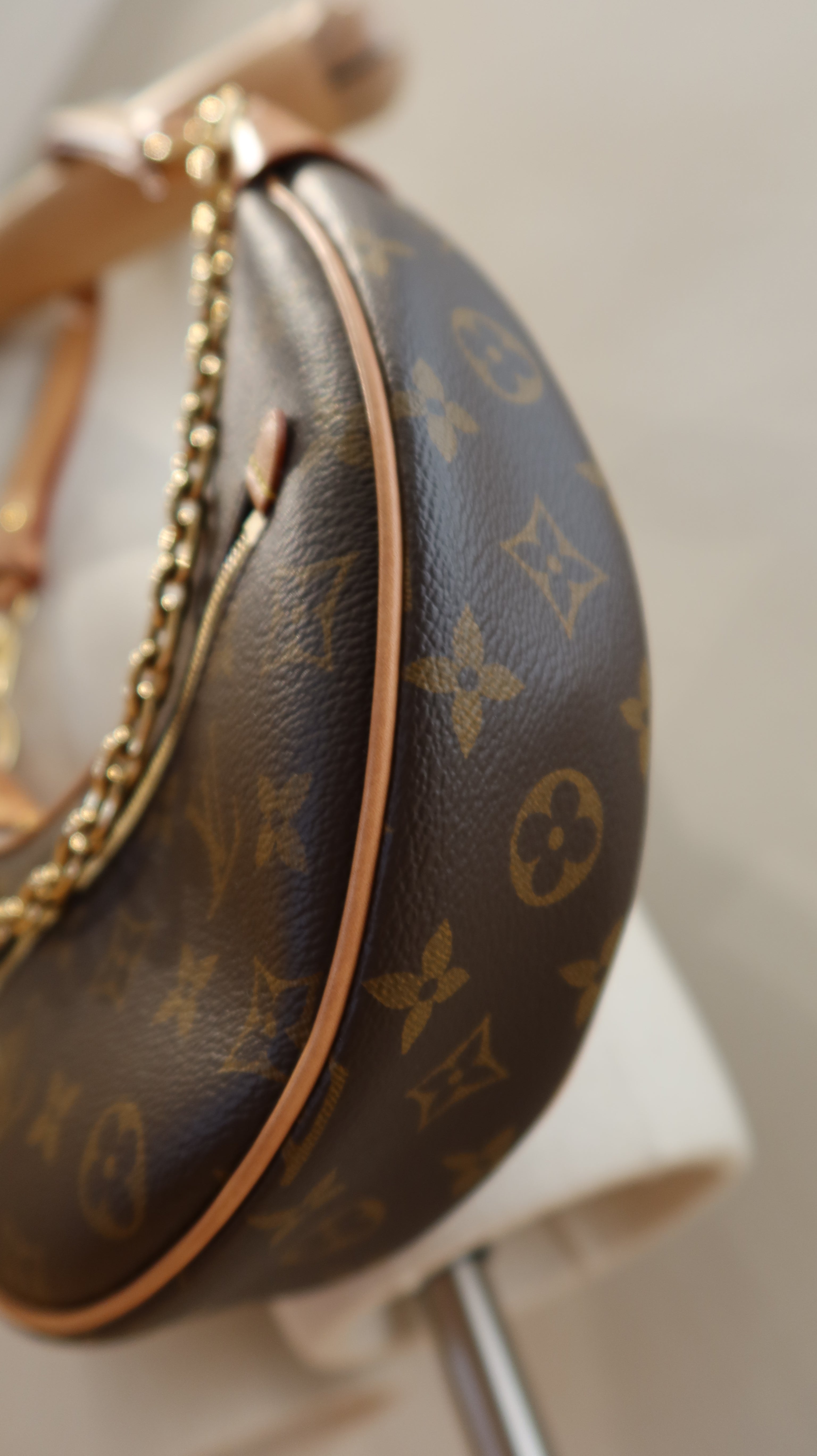 Louis Vuitton Loop PM Bag
