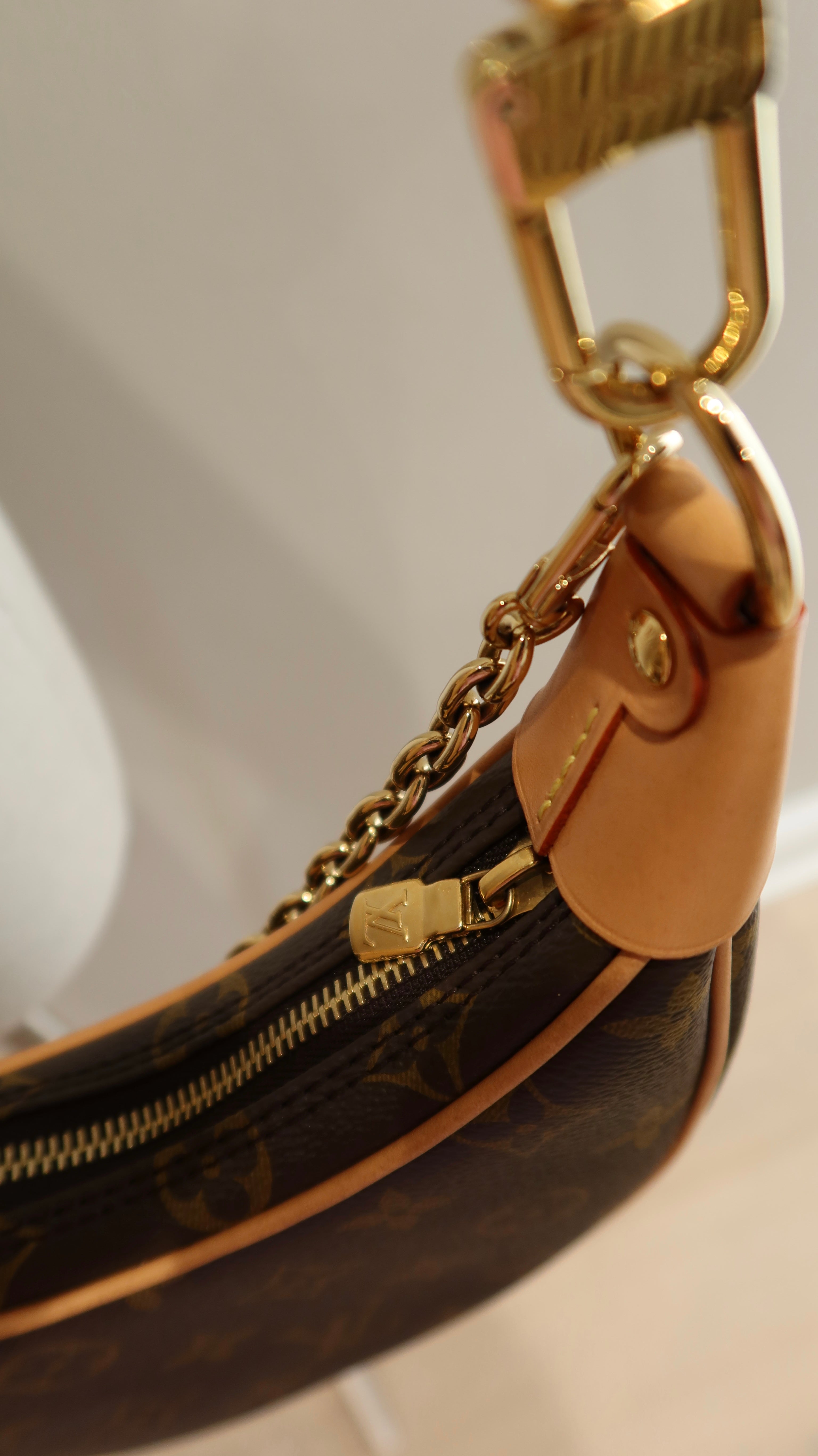 Louis Vuitton Loop PM Bag