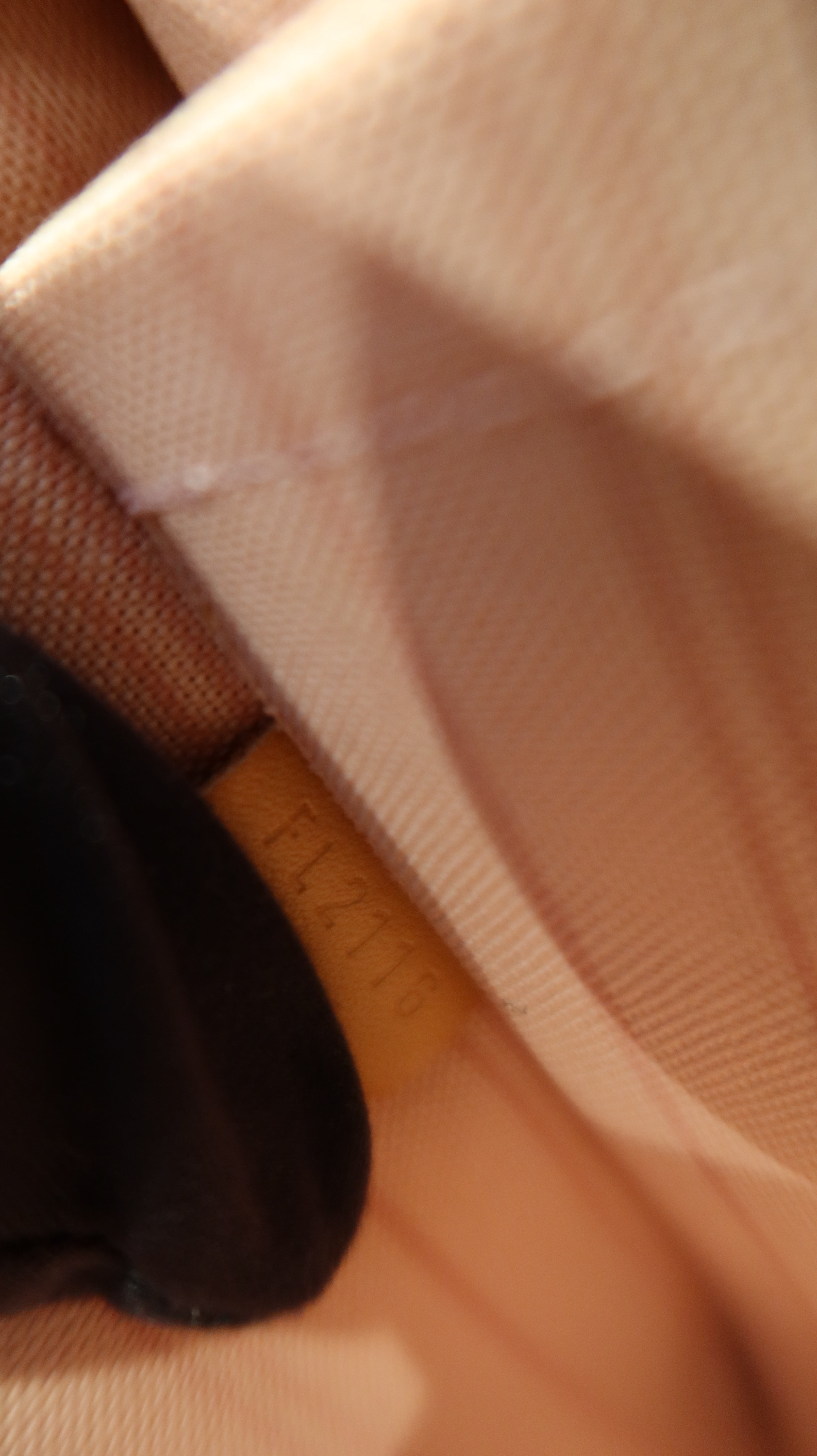 Louis Vuitton Neverfull Pochette