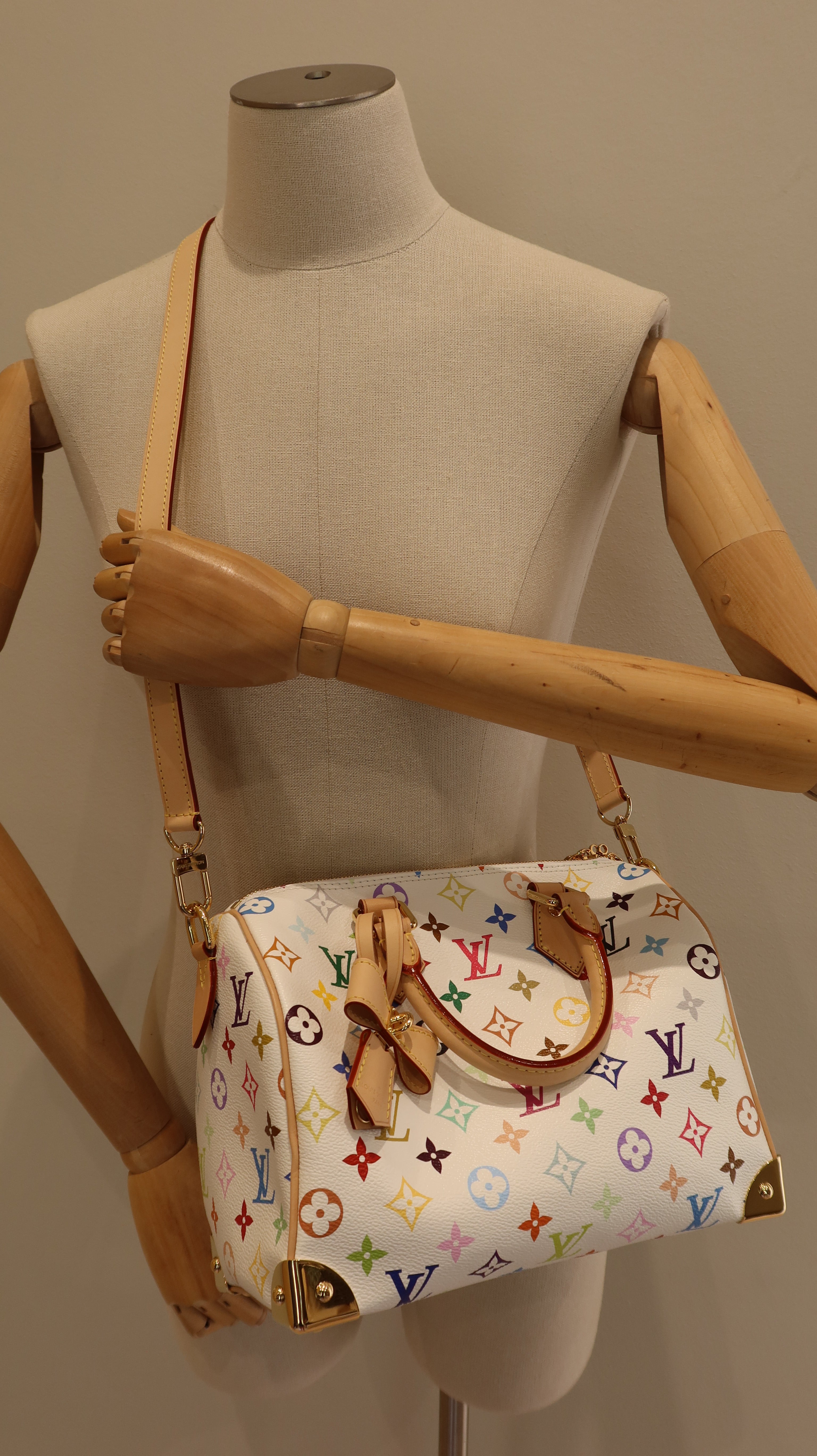 Louis Vuitton x Takashi Murakami Speedy Bandouliere 25 *Limited Edition*