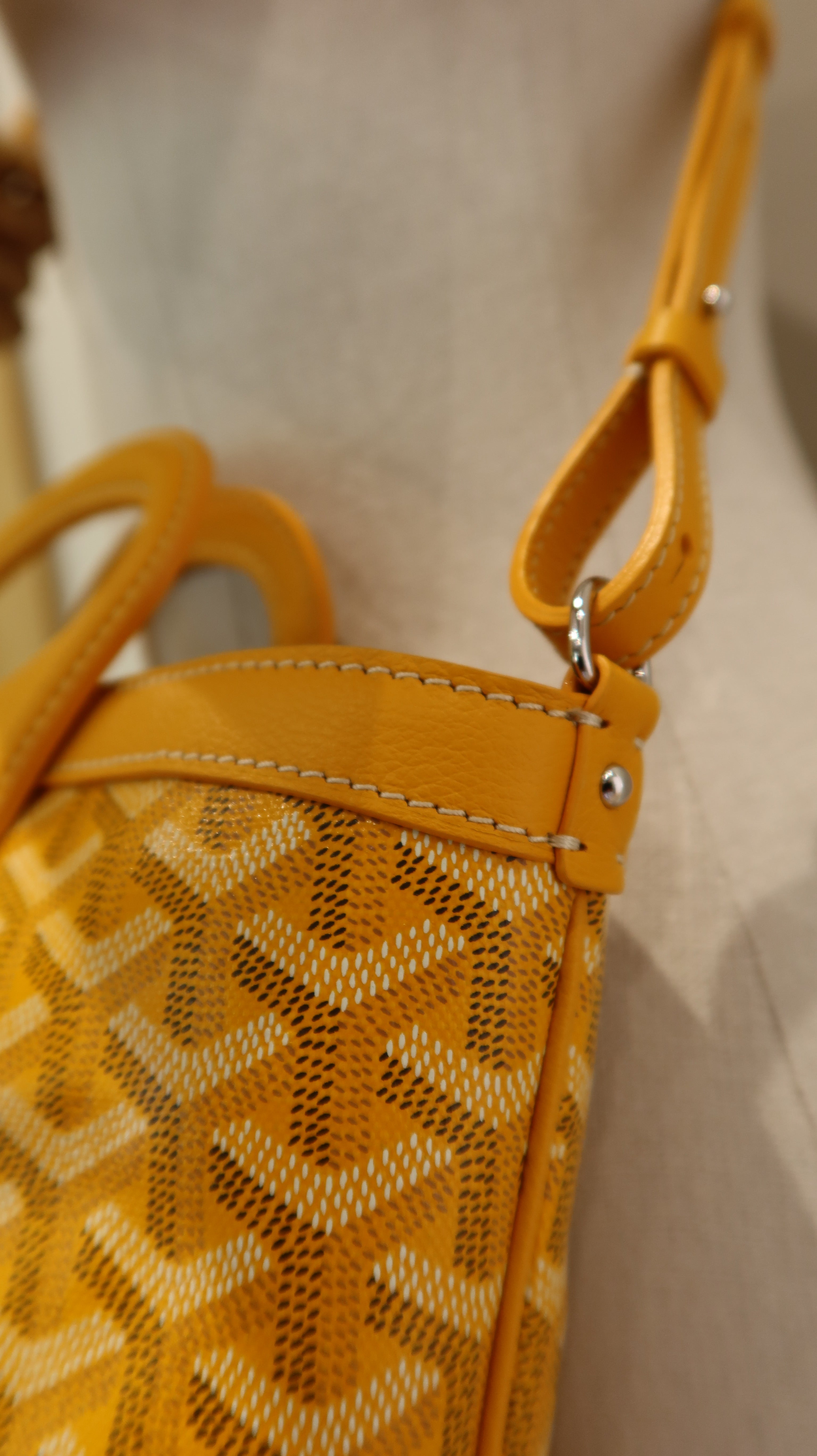 Goyard Beluga Mini Bag *Store Fresh*