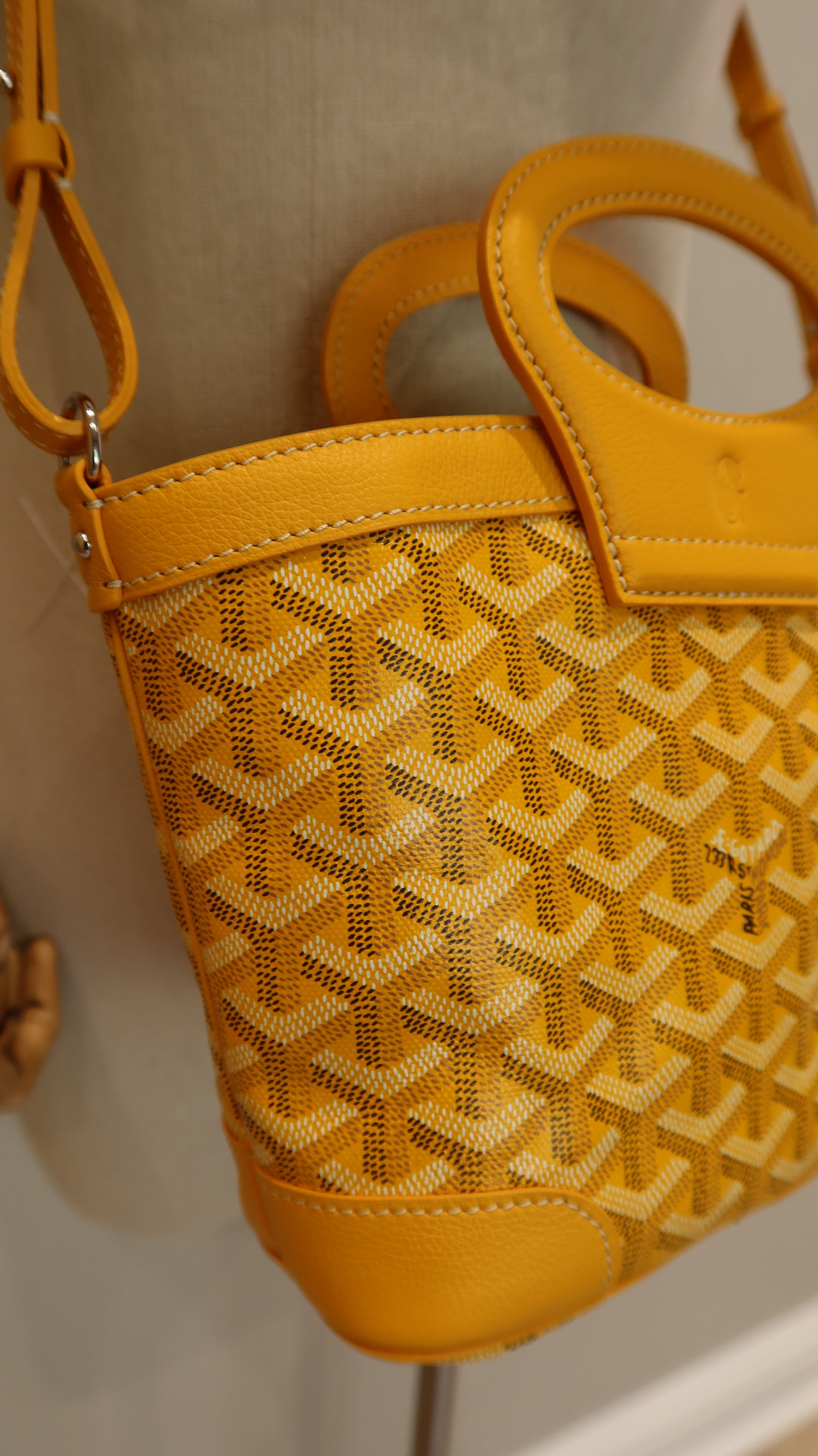 Goyard Beluga Mini Bag *Store Fresh*