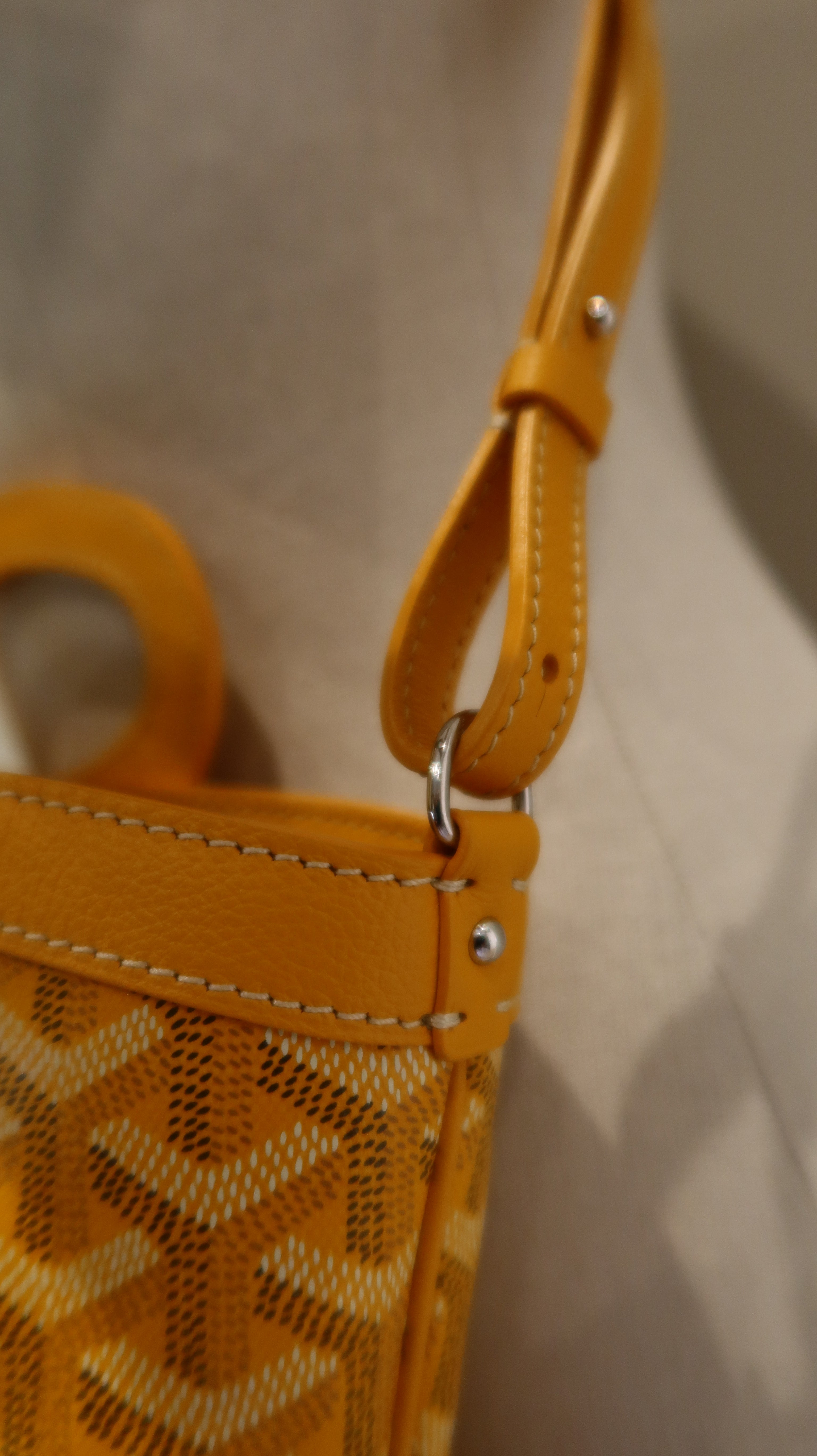 Goyard Beluga Mini Bag *Store Fresh*