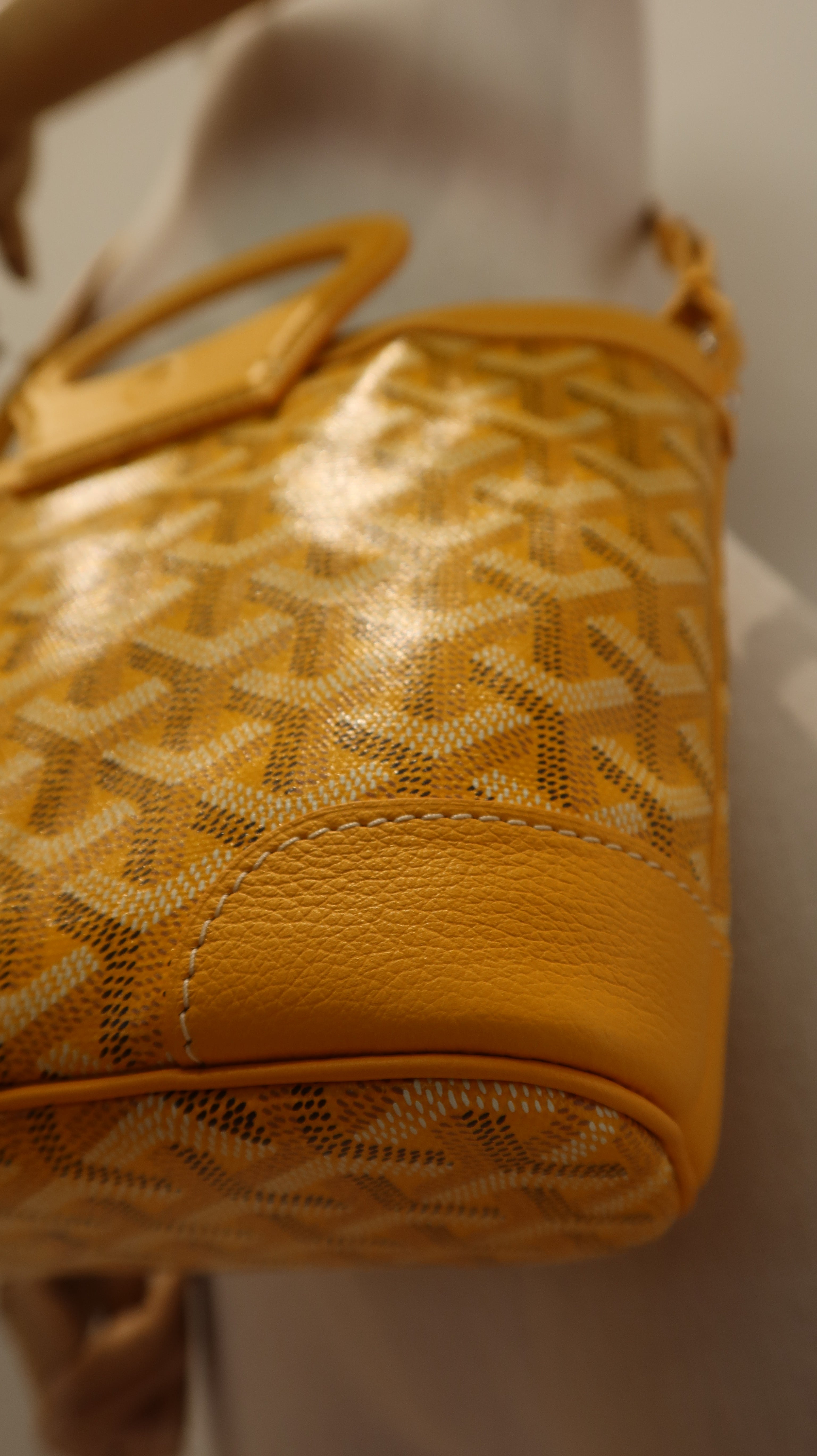Goyard Beluga Mini Bag *Store Fresh*