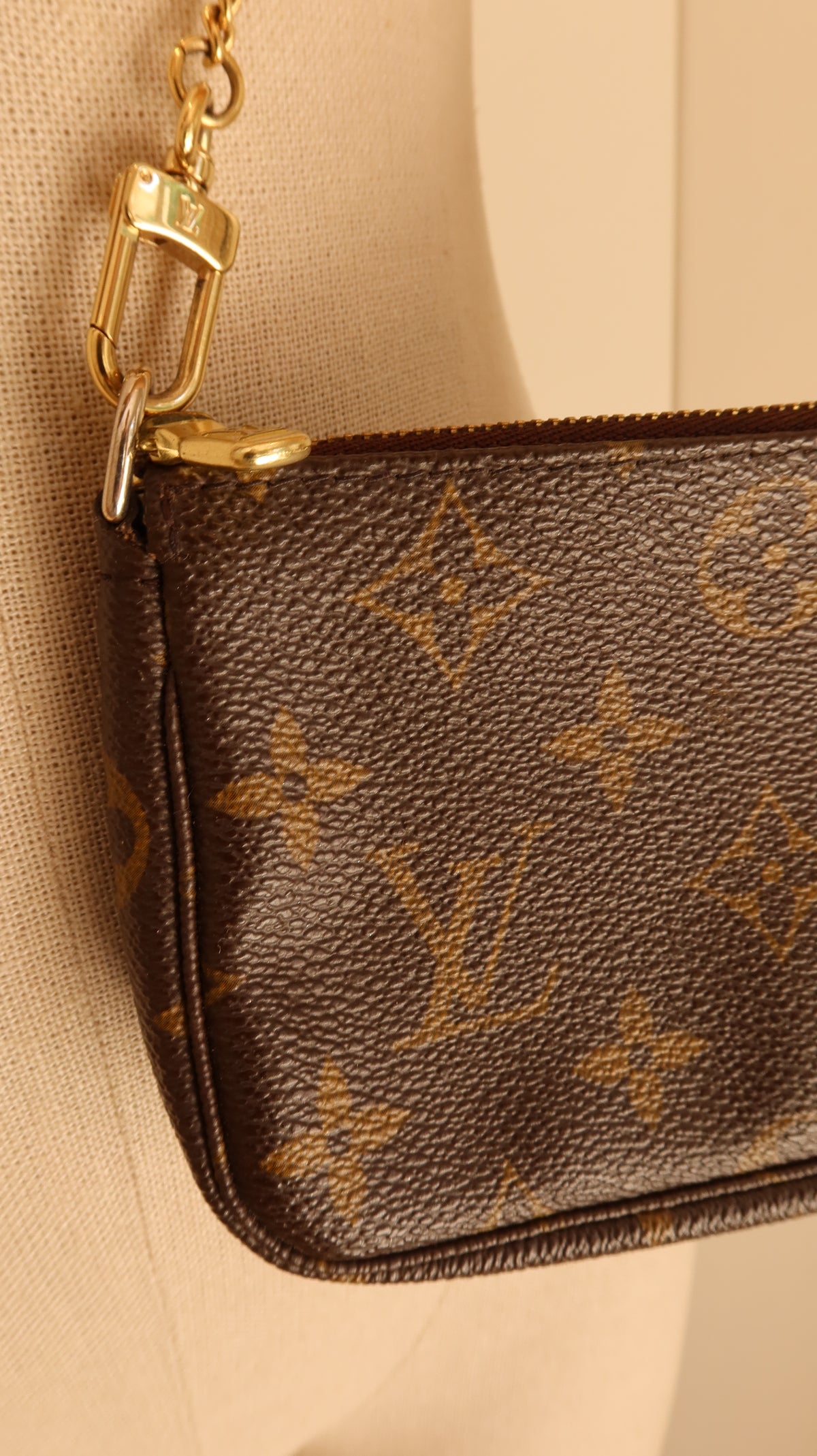 Louis Vuitton Mini Pochette Accessoires