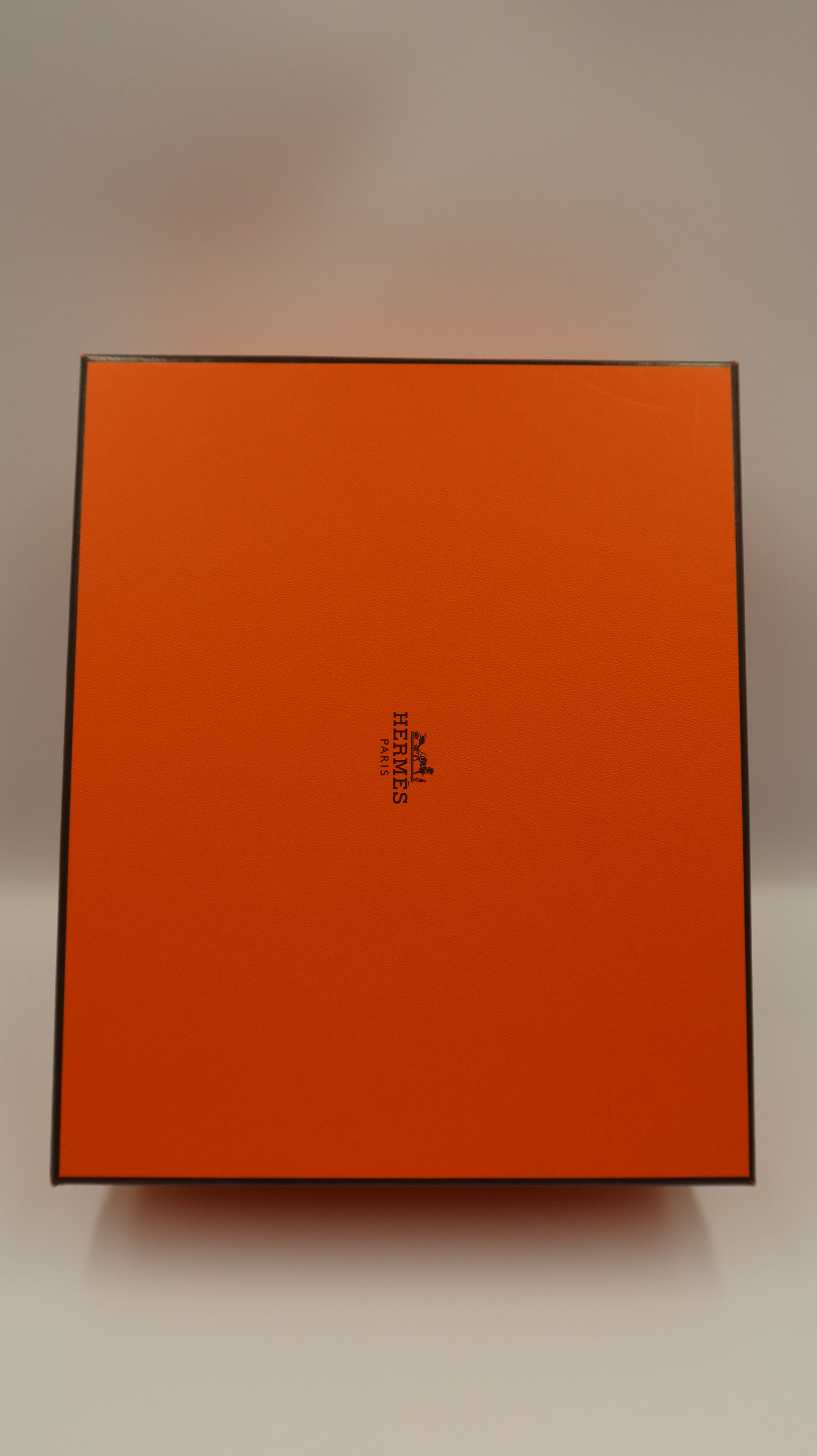 Hèrmes Mini Evelyne