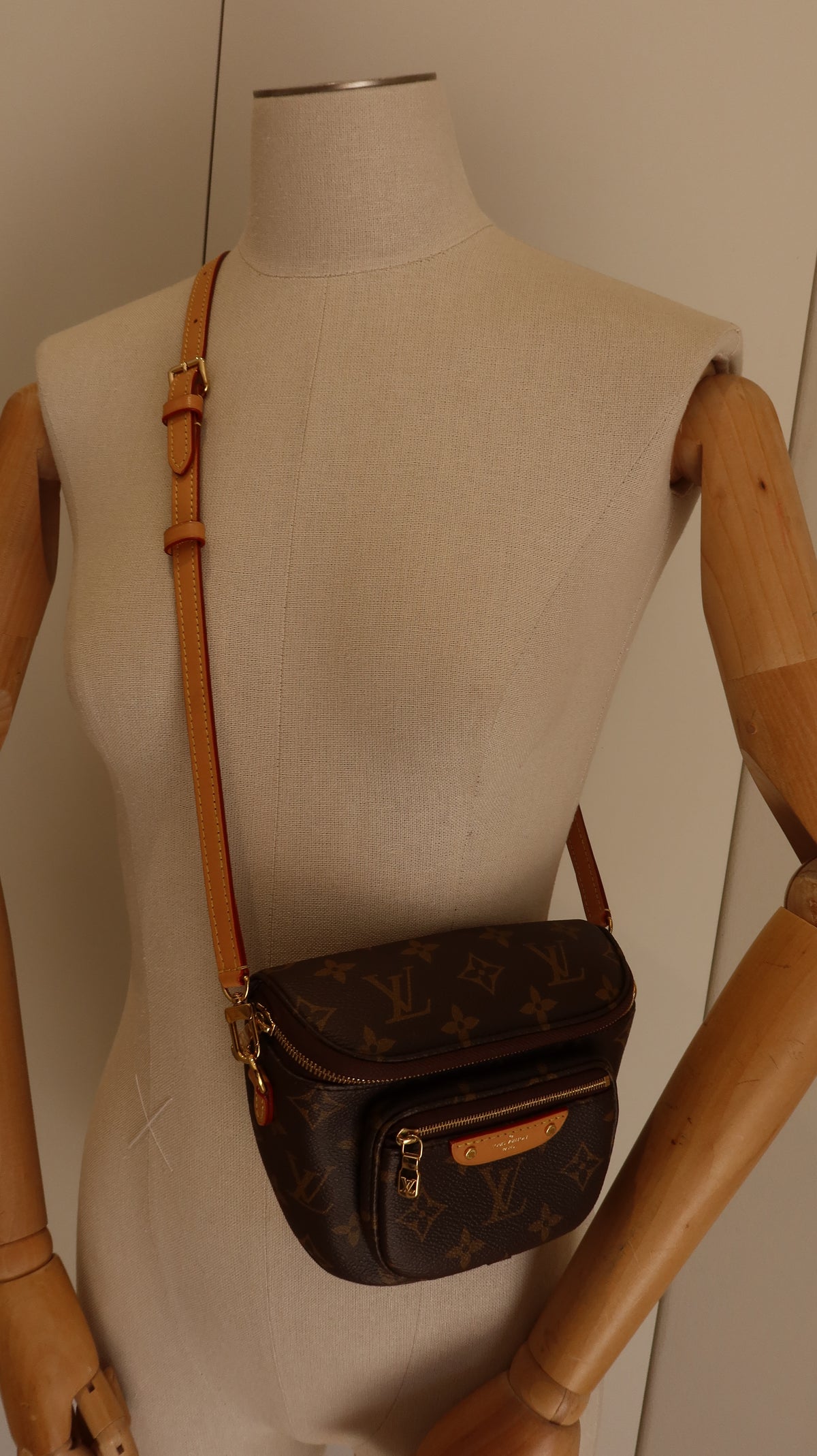 Louis Vuitton Mini Bum Bag