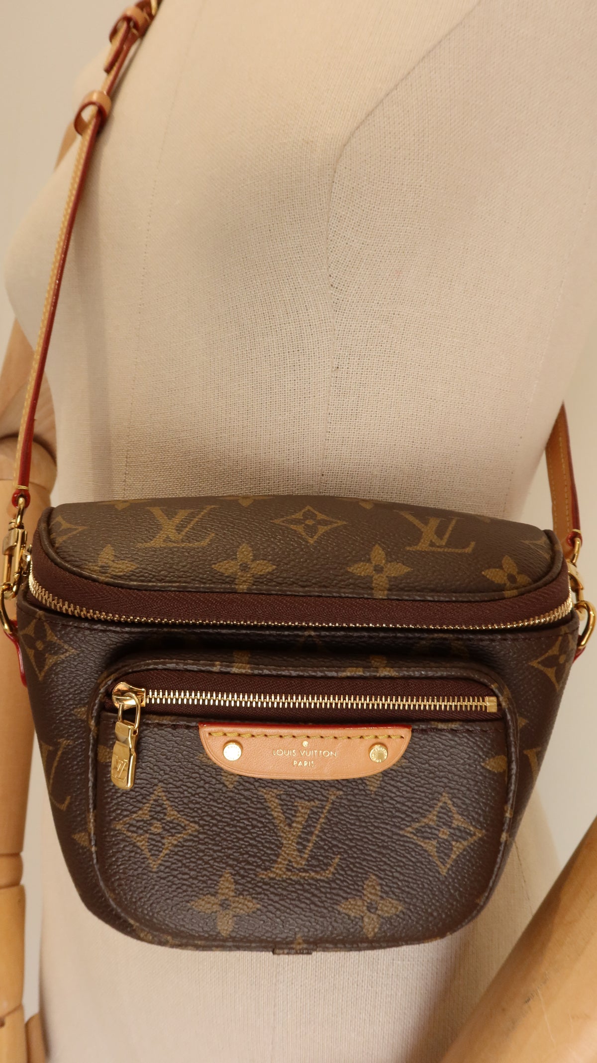 Louis Vuitton Mini Bum Bag