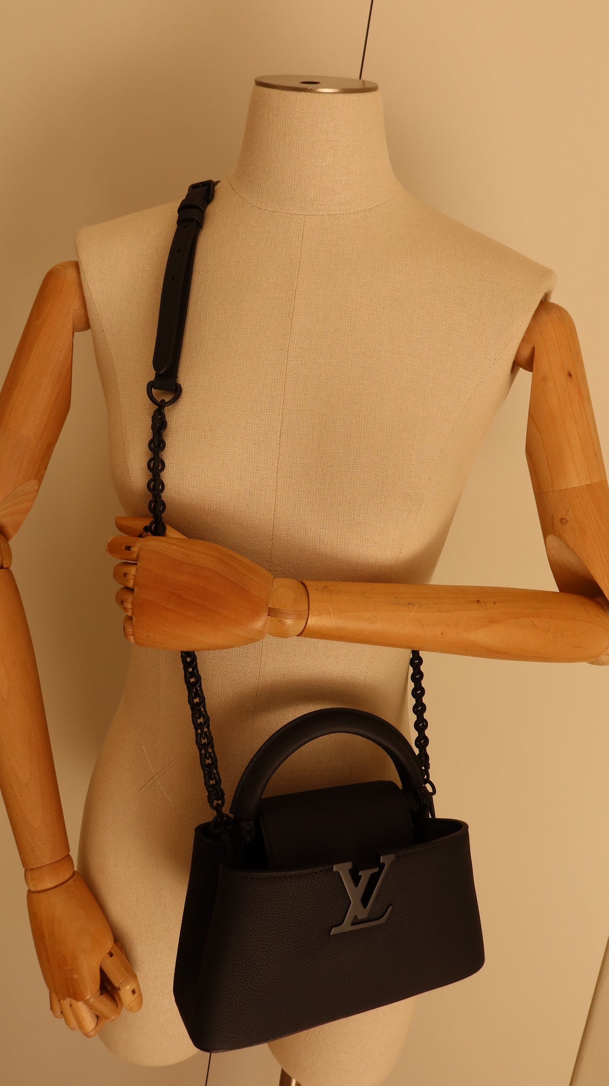 Louis Vuitton Capucines East-West Mini Bag