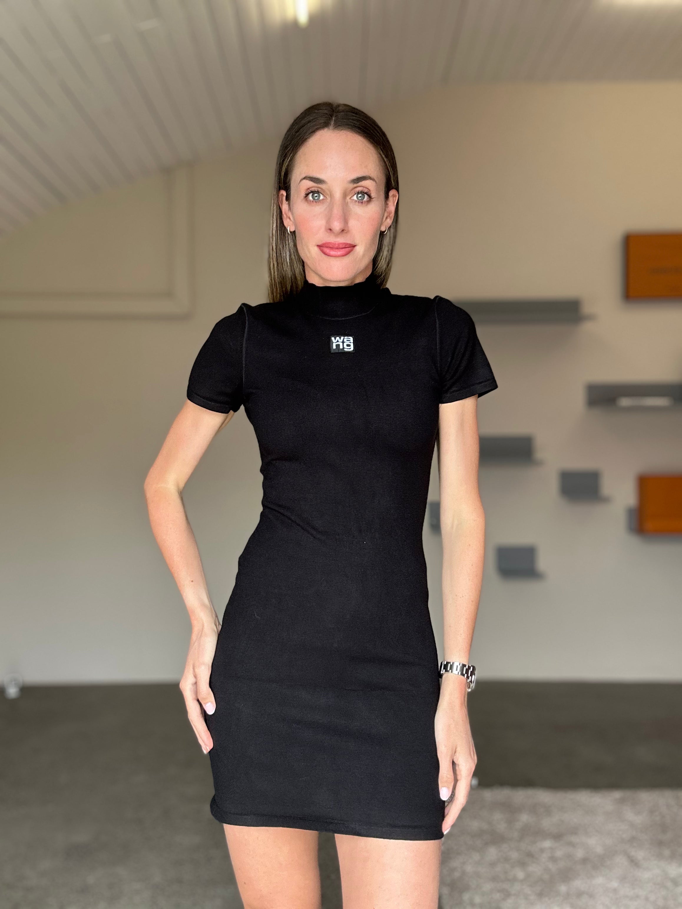 Alexander Wang Dress (M)