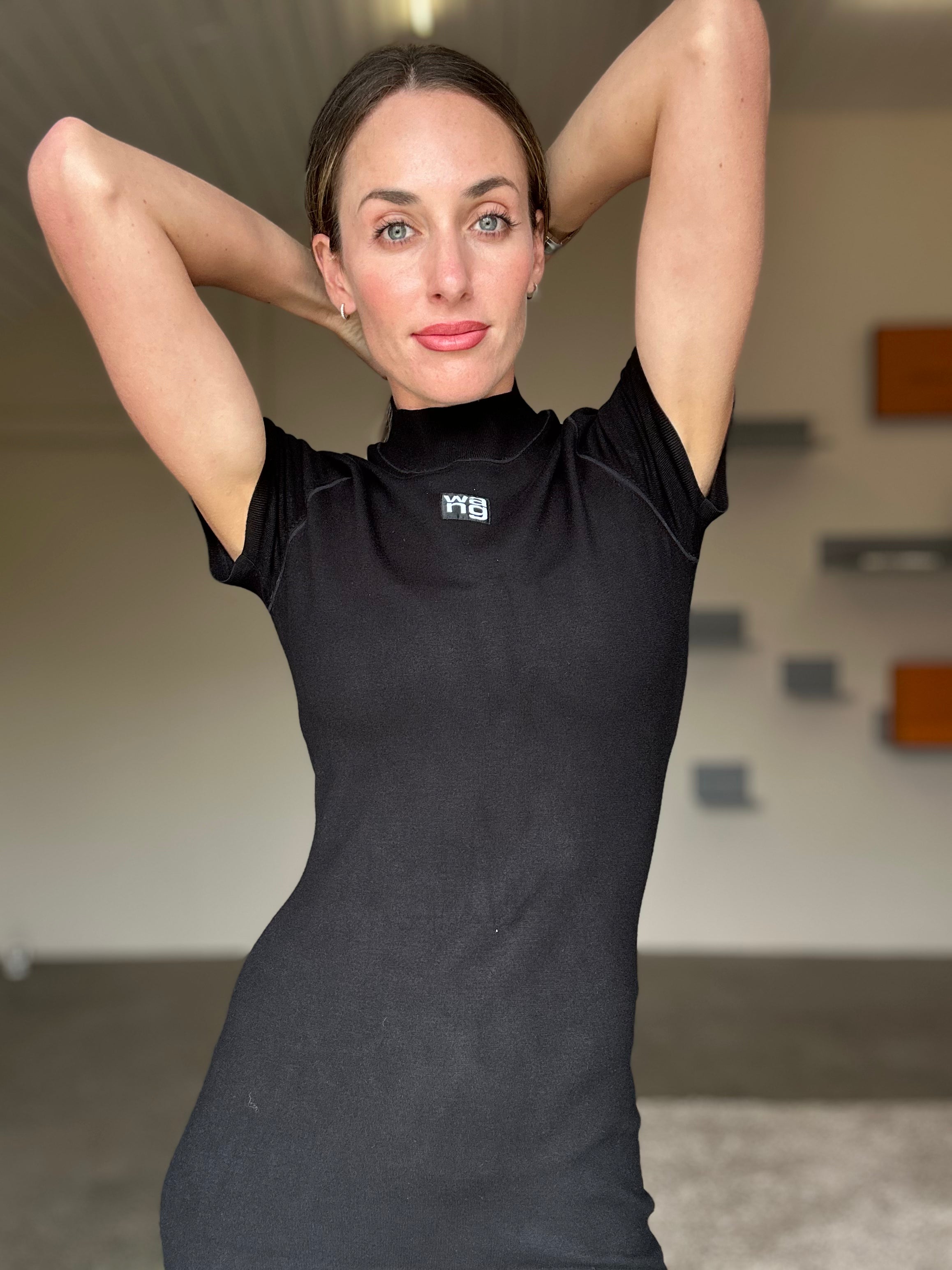 Alexander Wang Dress (M)