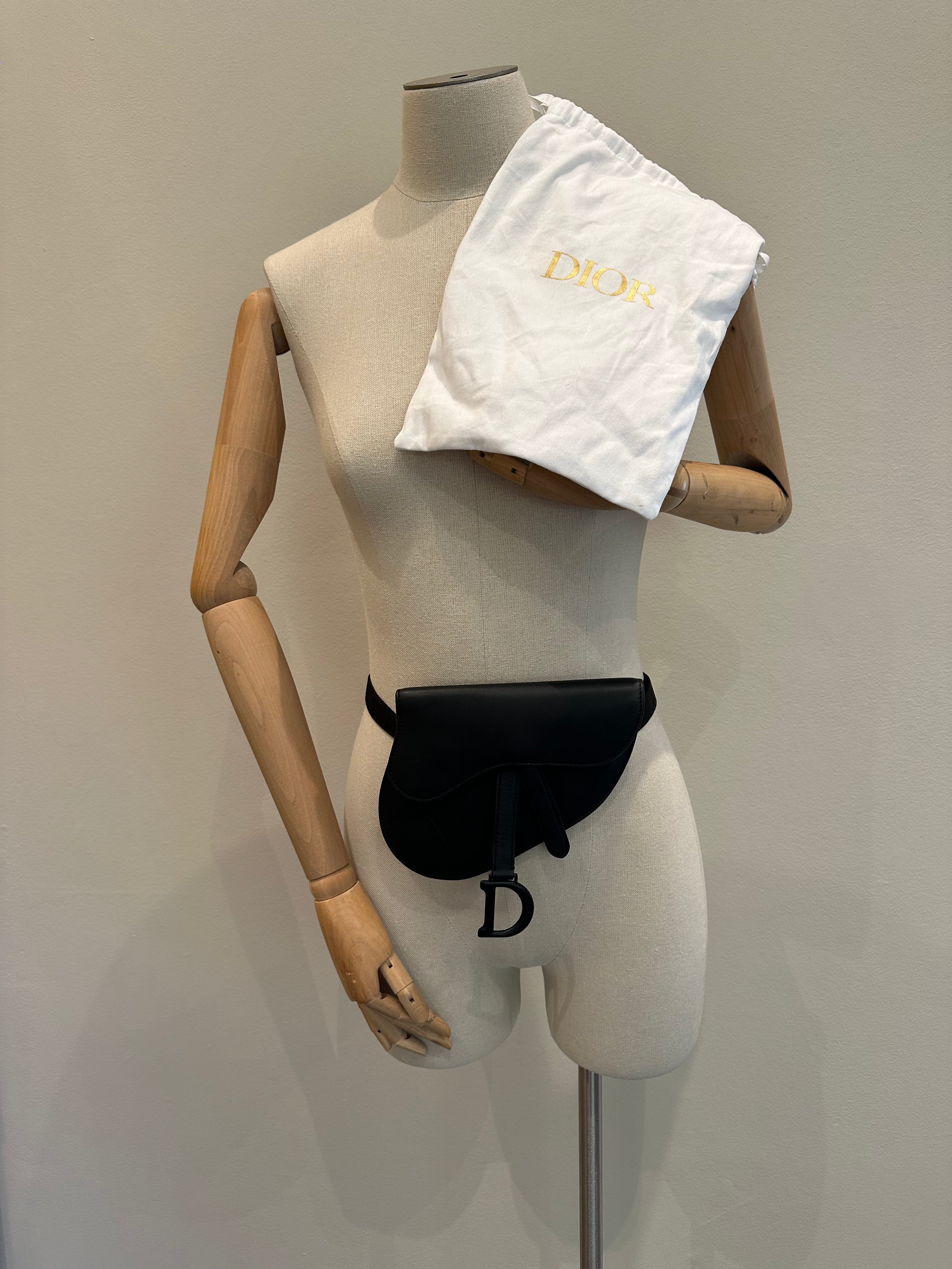 Dior Saddle Belt Bag
