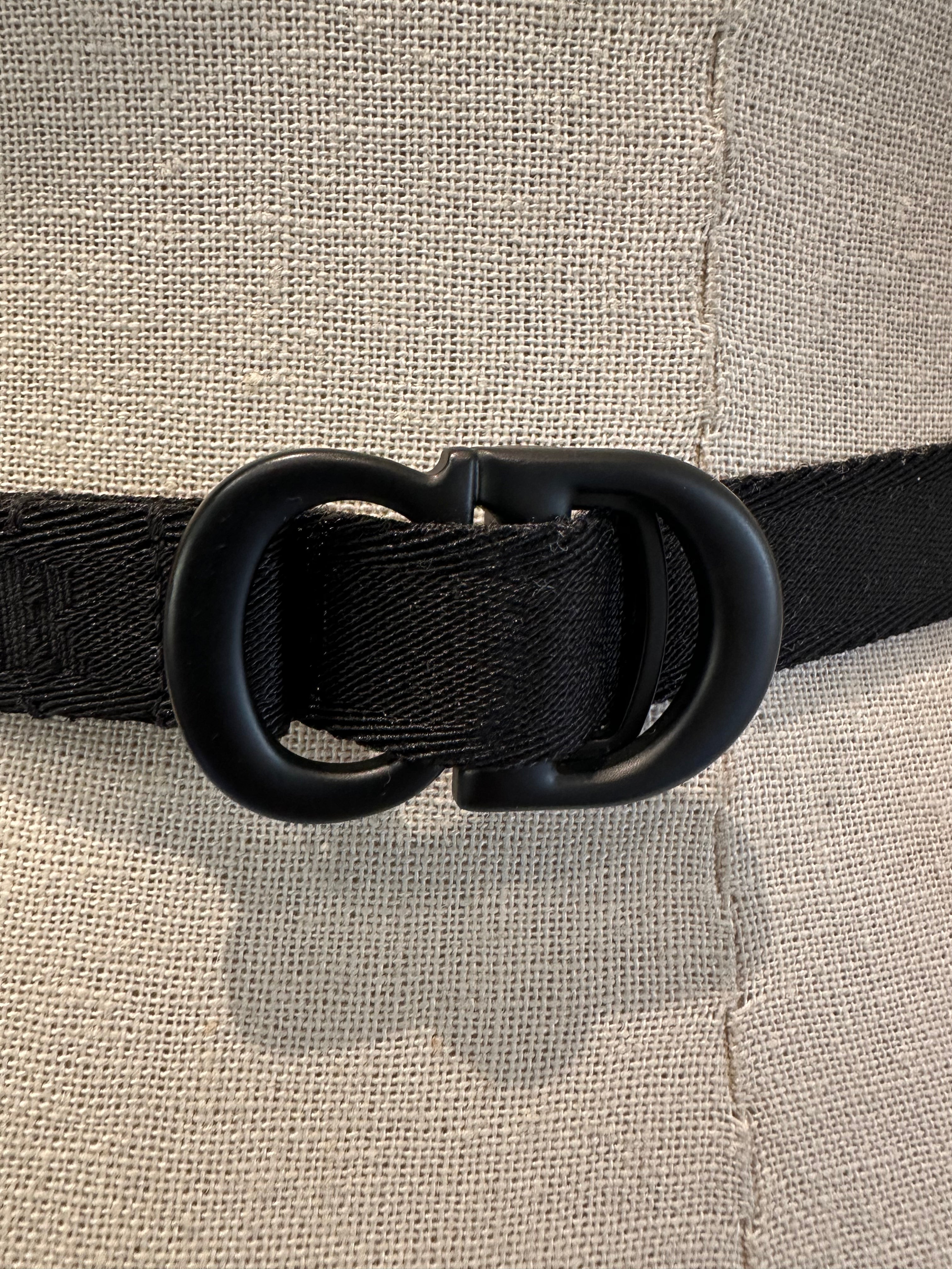 Dior Saddle Belt Bag