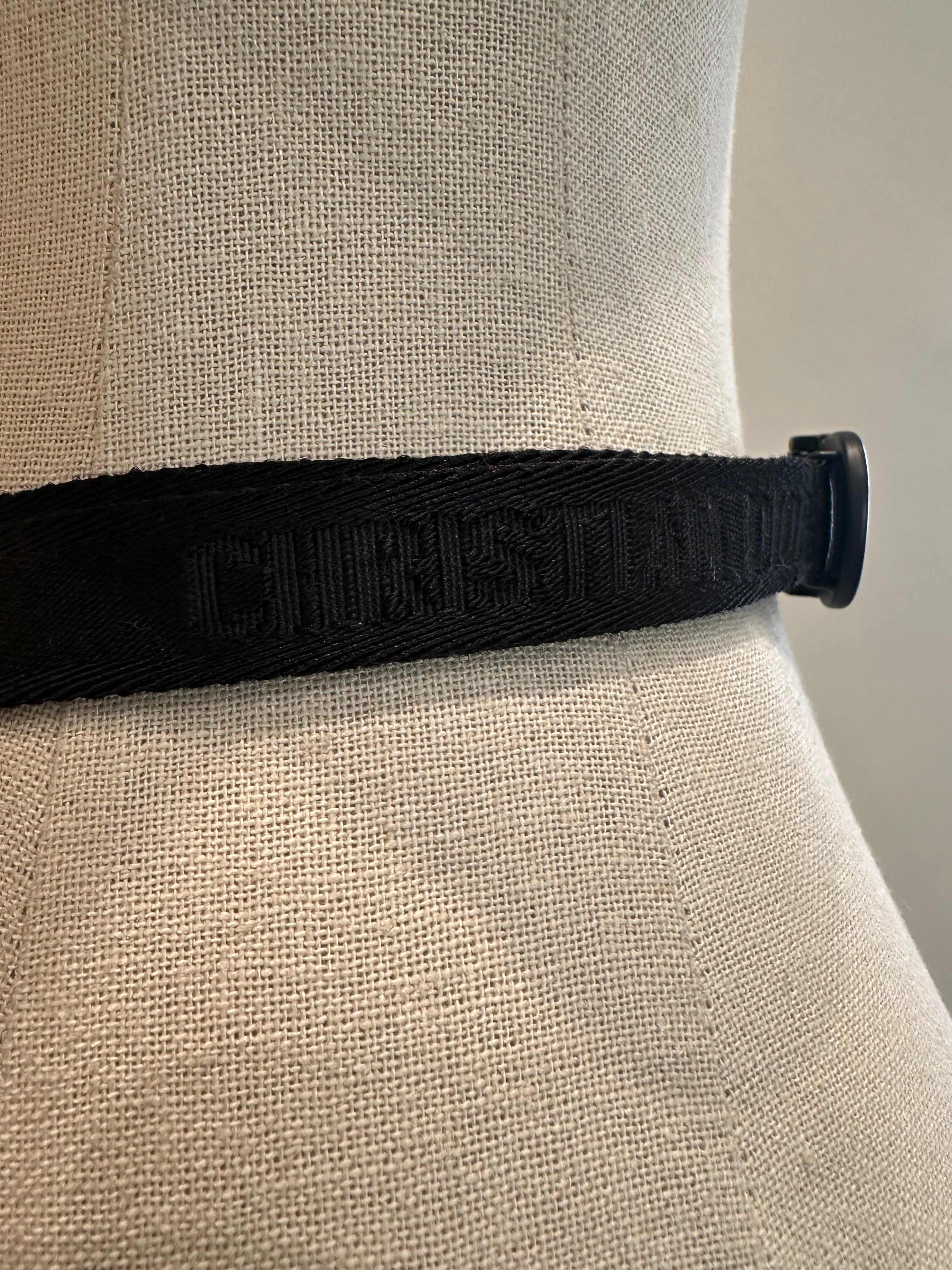 Dior Saddle Belt Bag