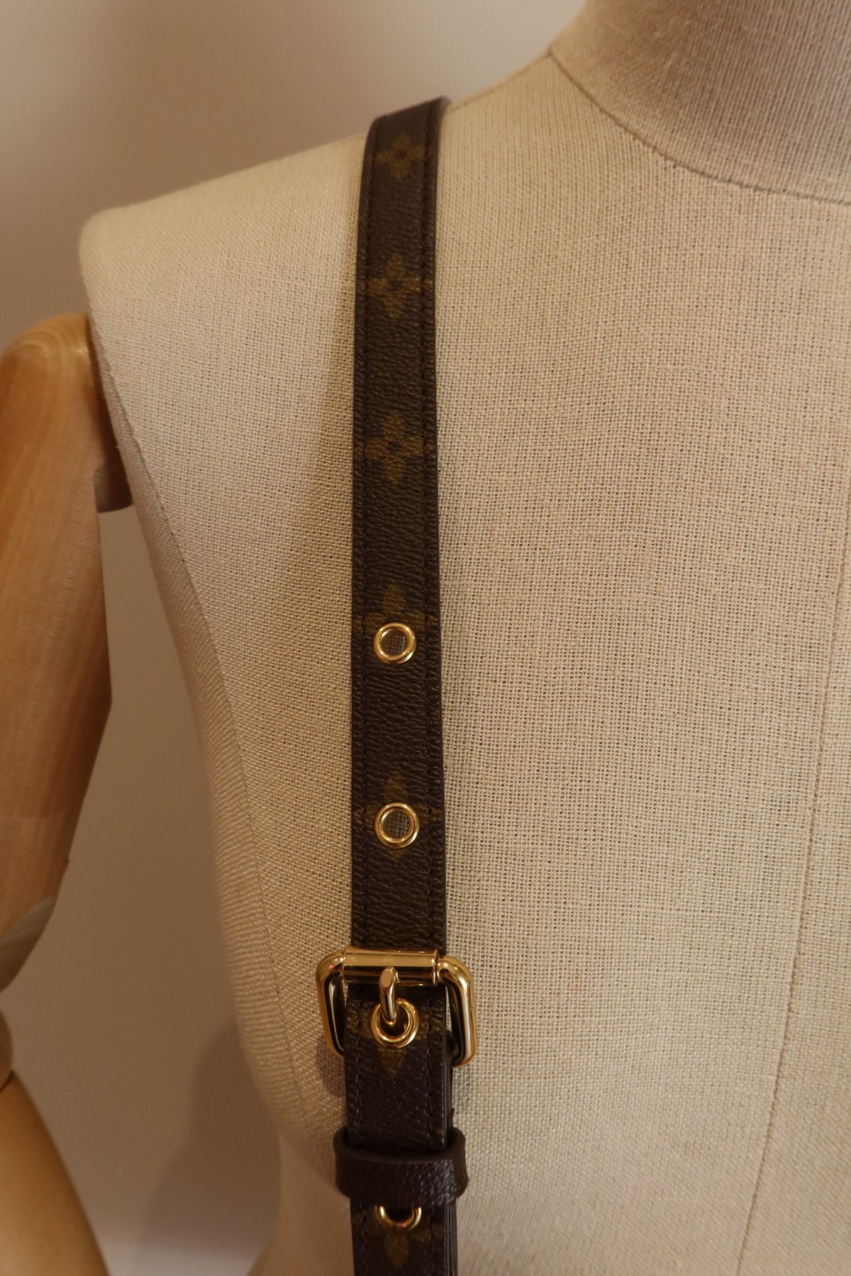 Louis Vuitton Pochette Metis Bag