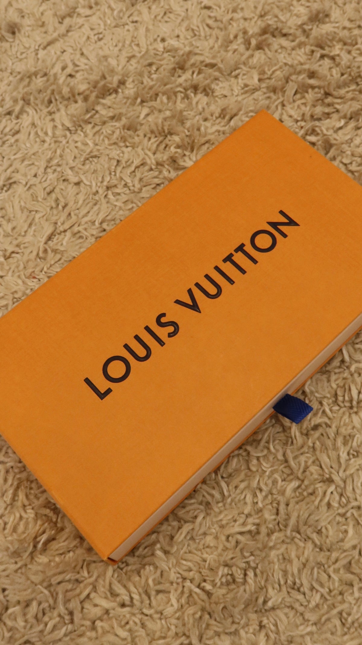 Louis Vuitton Felicie Pochette