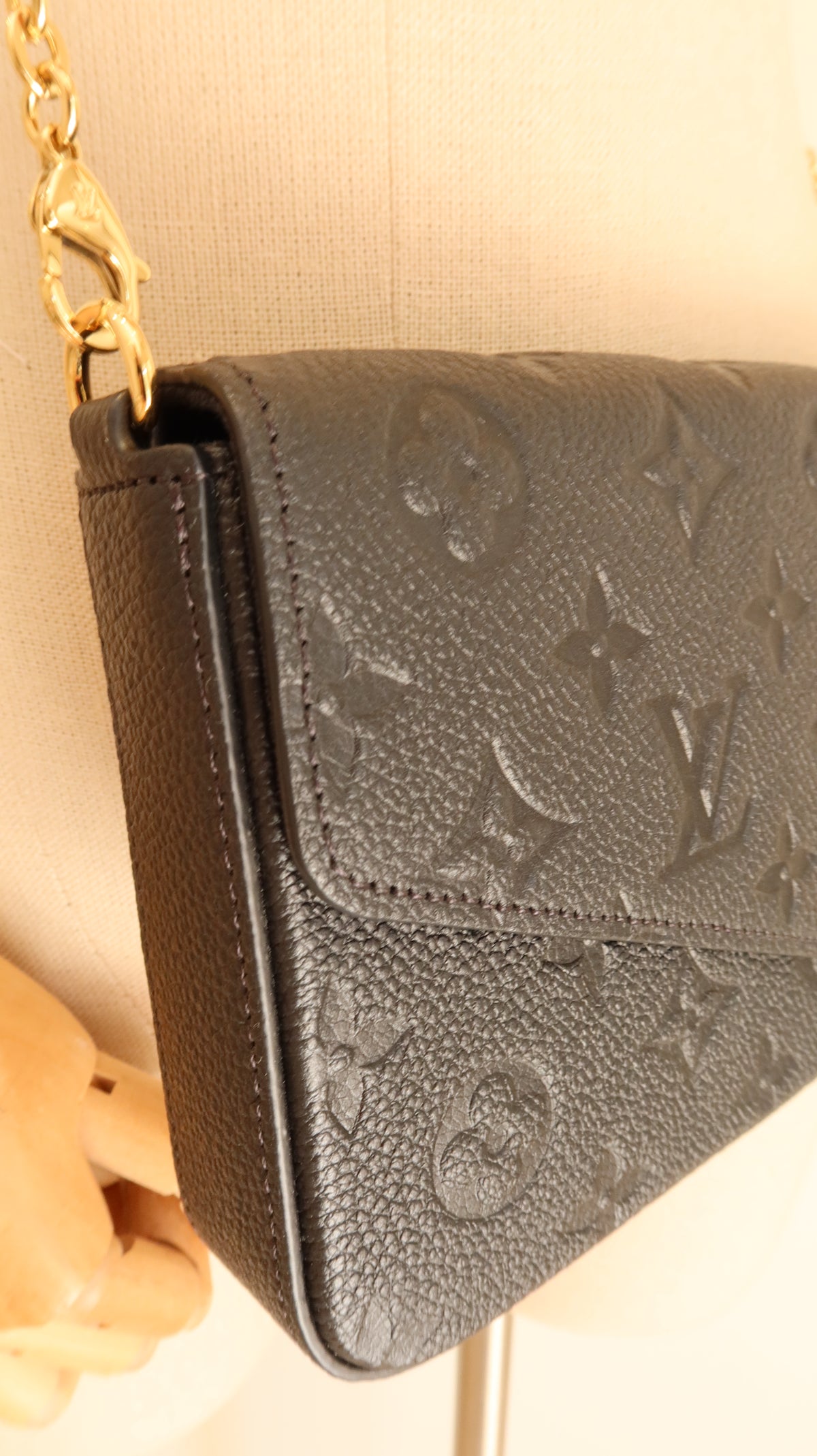 Louis Vuitton Felicie Pochette