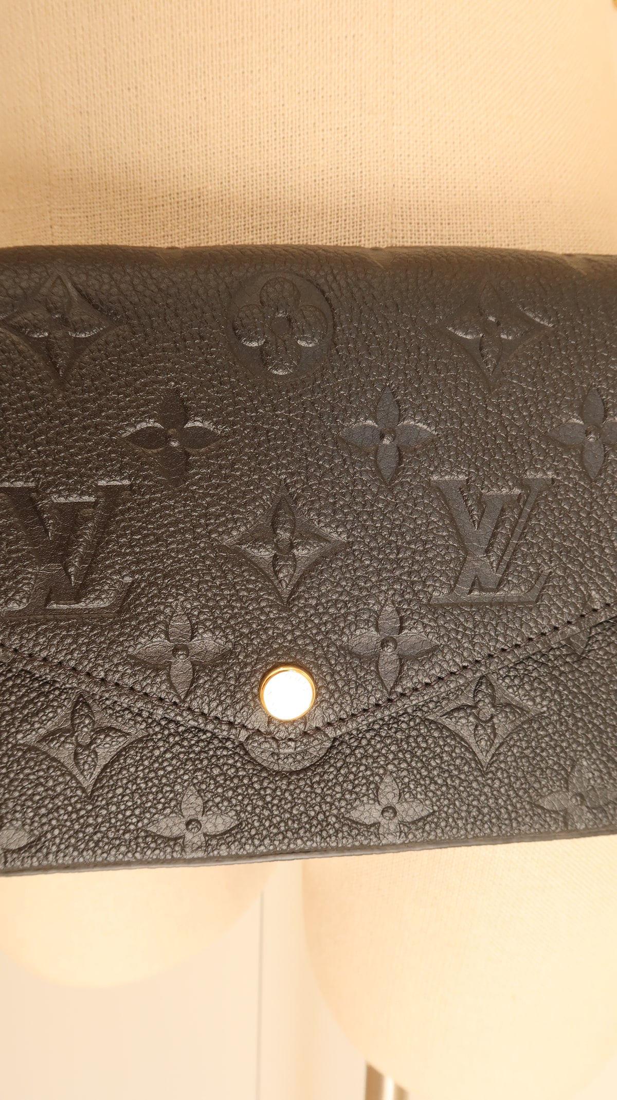 Louis Vuitton Felicie Pochette