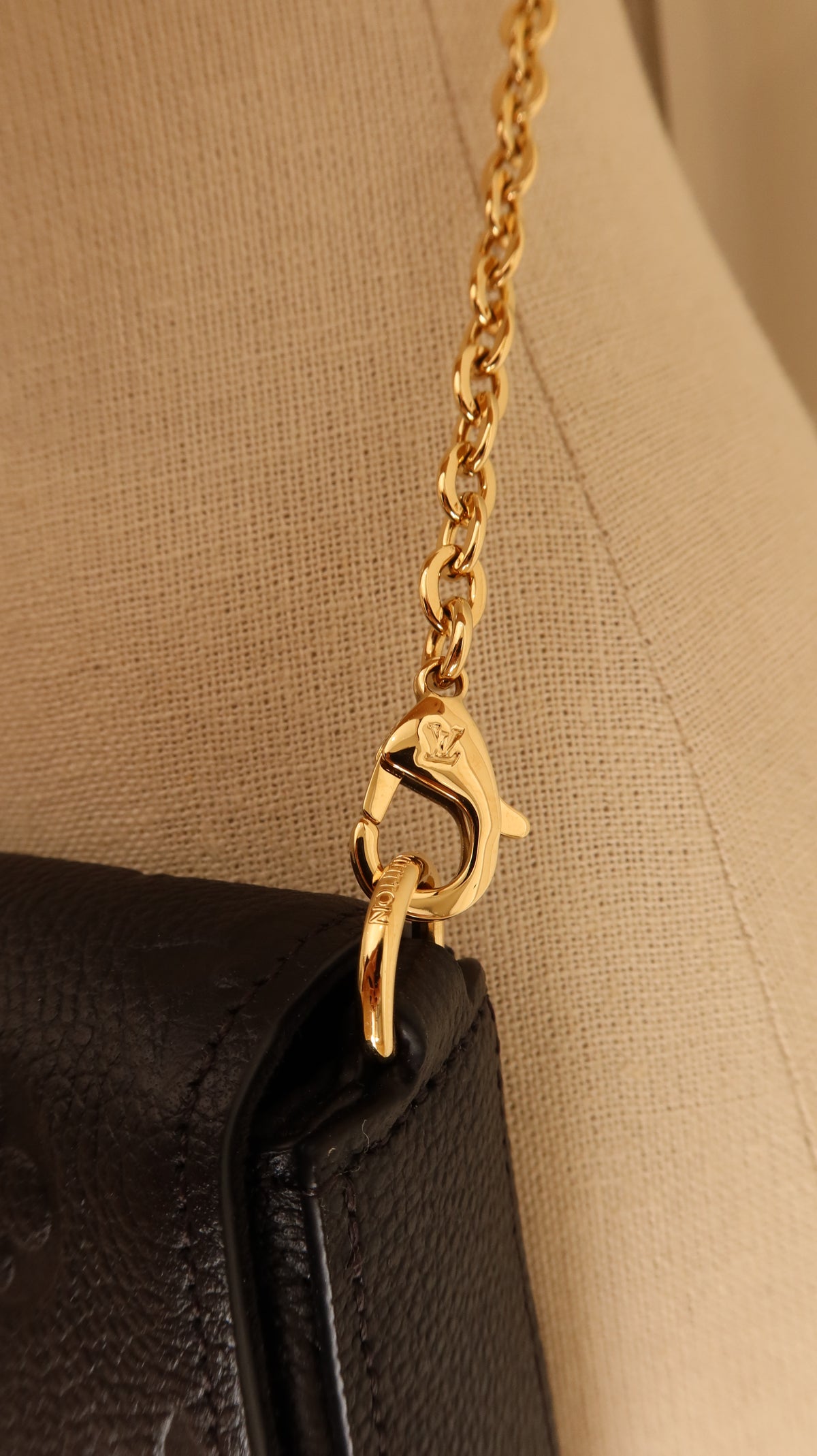 Louis Vuitton Felicie Pochette