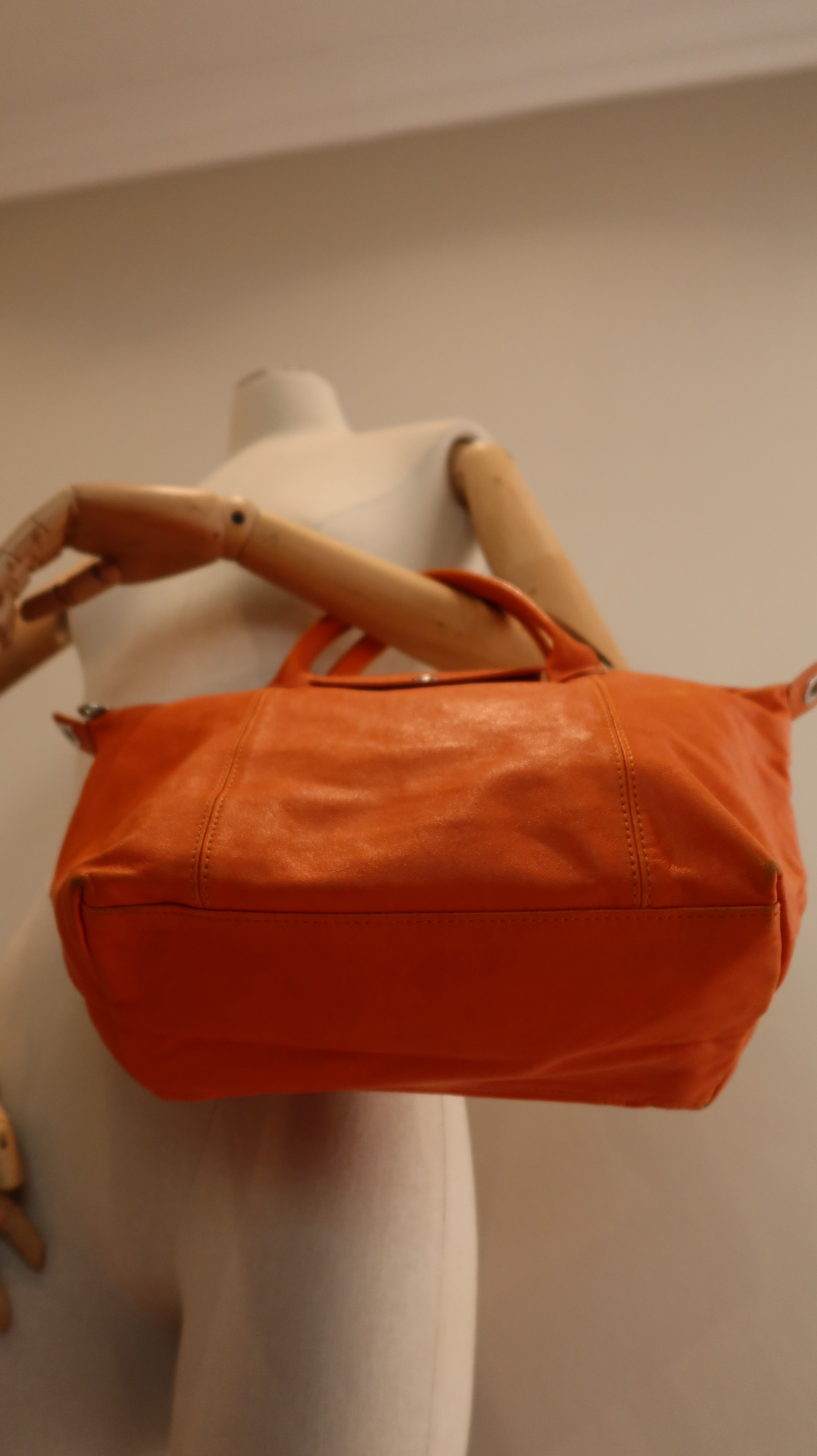 Longchamp Le Pliage Leather Bag